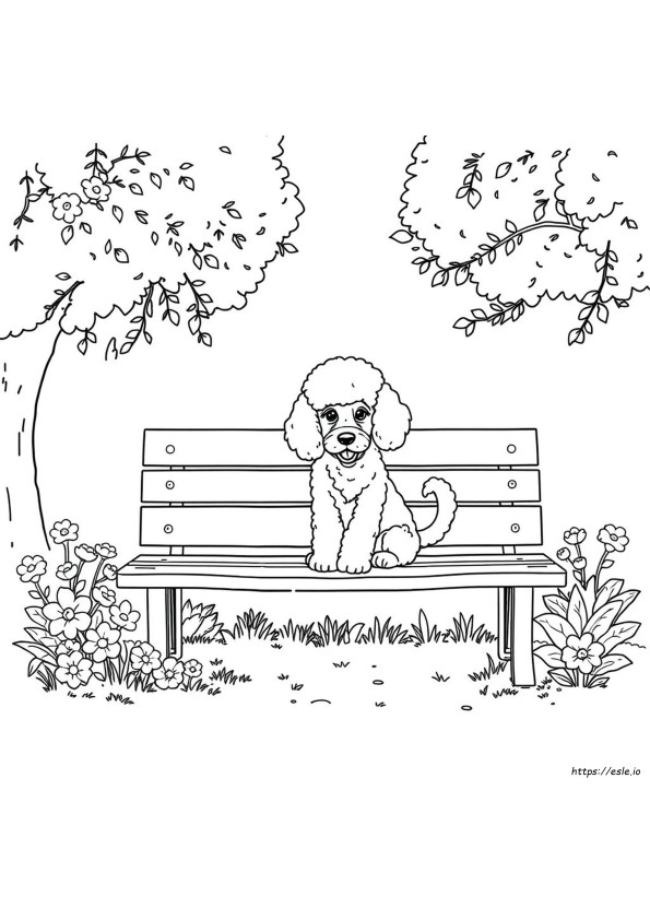 French Poodle Coloring Page