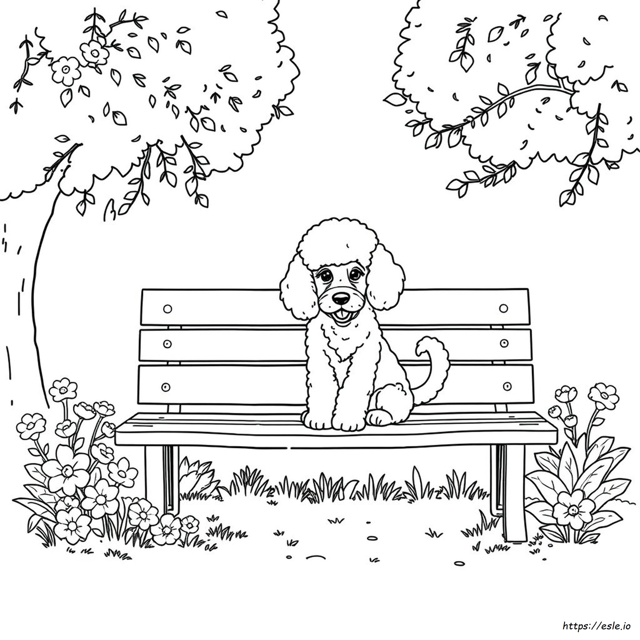 French Poodle Coloring Page