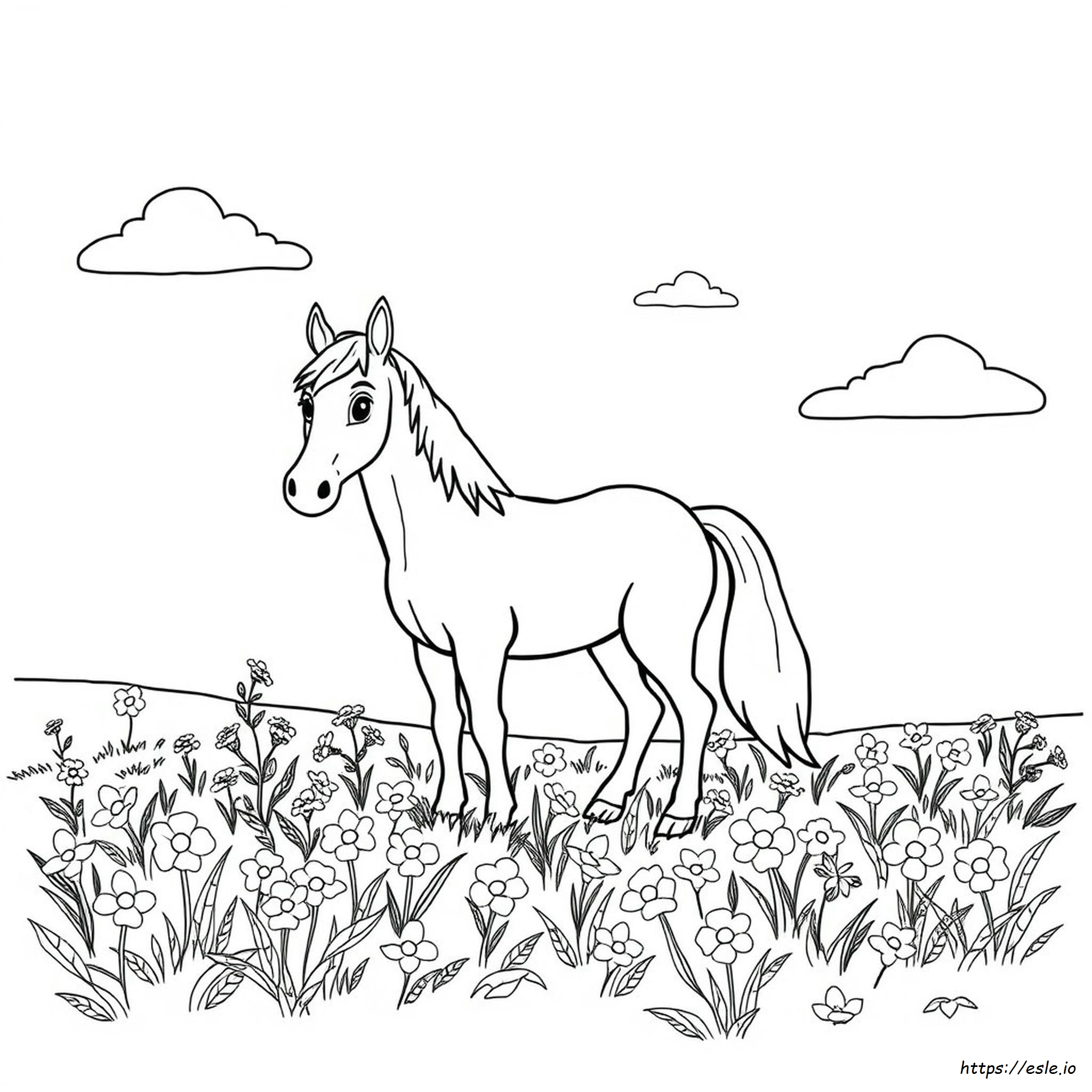 Horse Cartoon Coloring