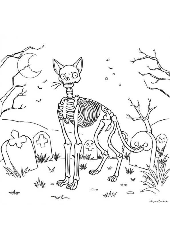 Tengkorak Kucing Gambar Untuk Diwarnai
