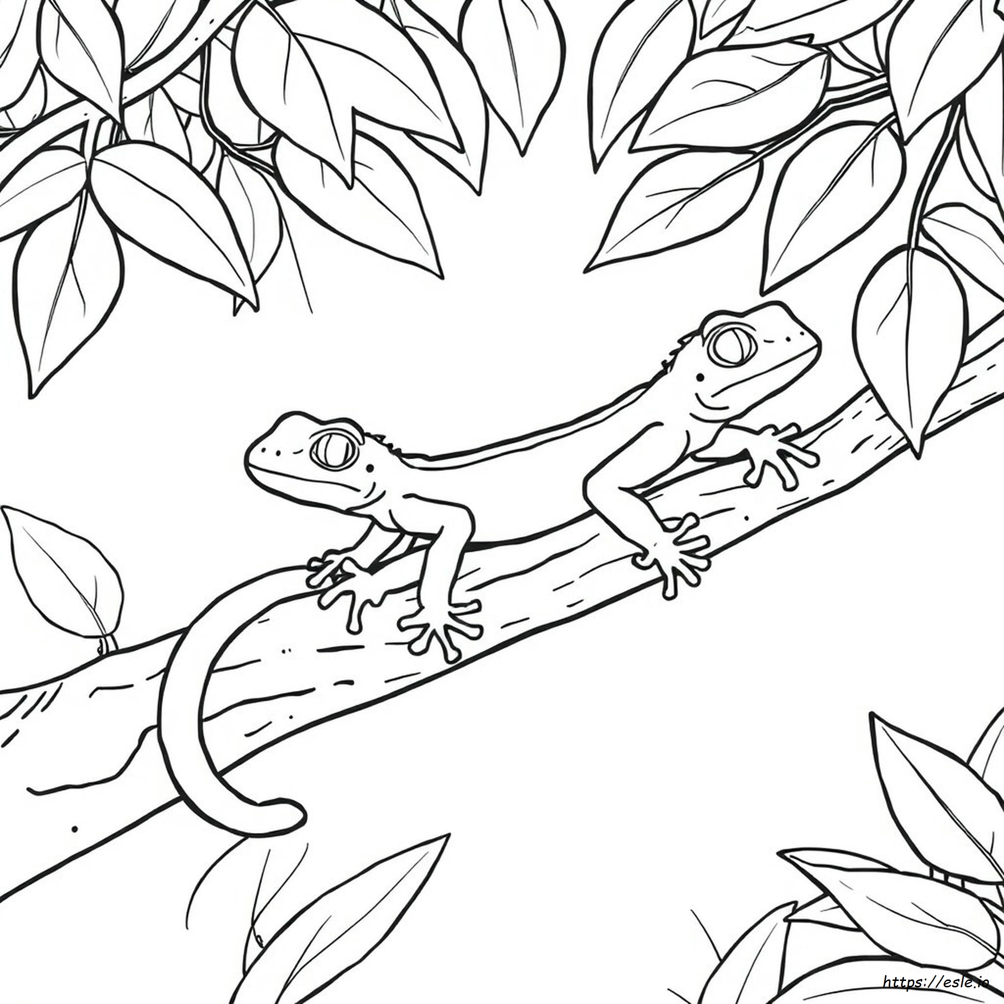 Lagarto Gecko Para Colorir