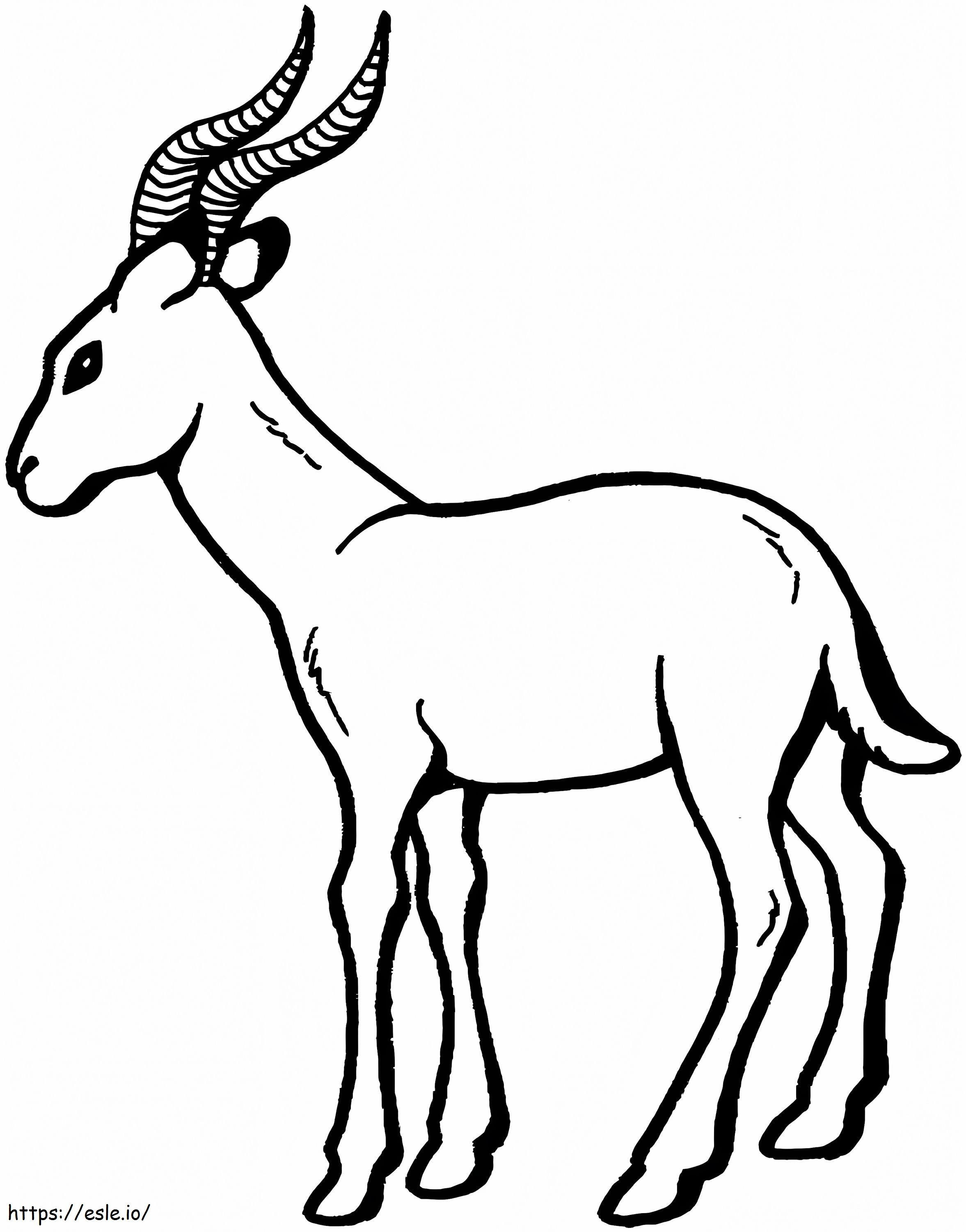 Normale Gazelle ausmalbilder