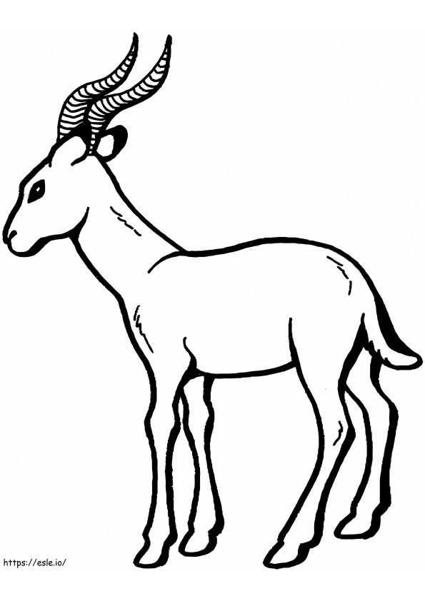 Normale Gazelle kleurplaat