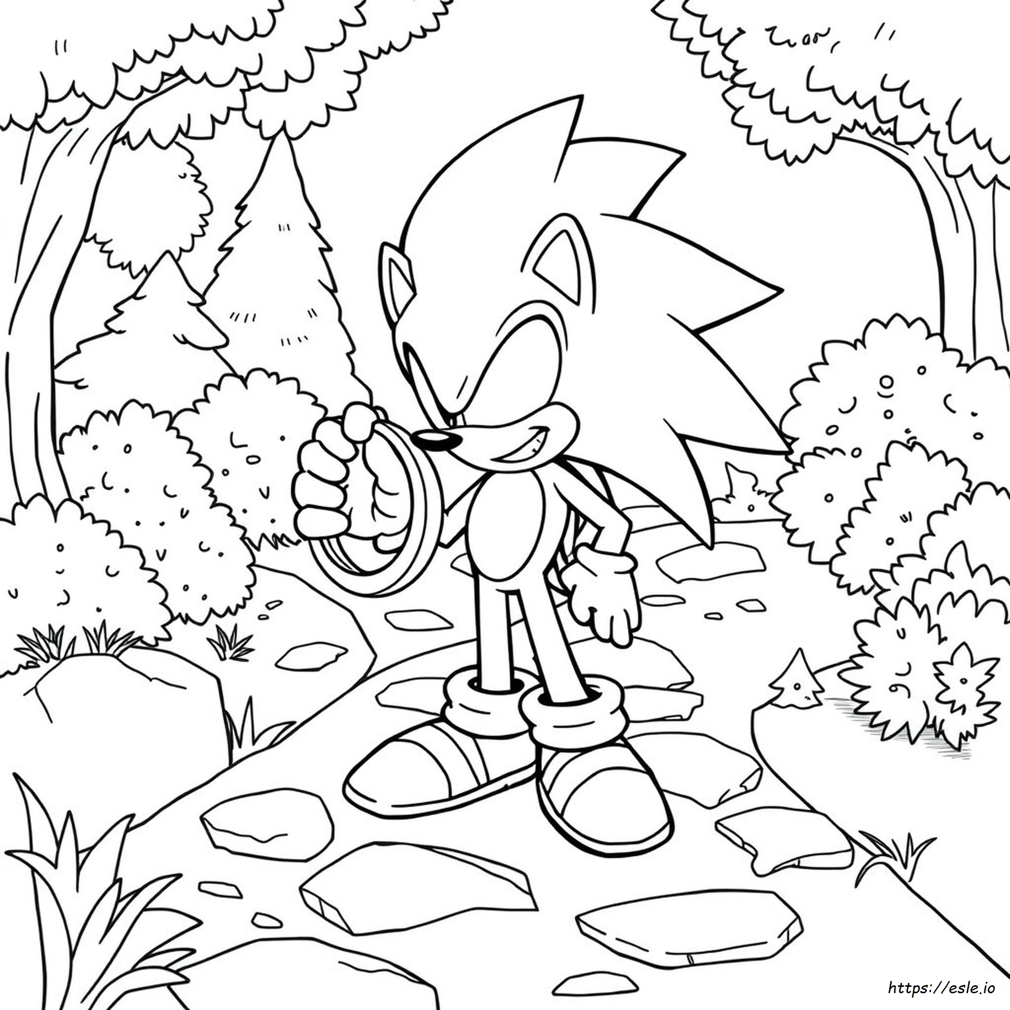 Png Sonic Ring Coloring Pages