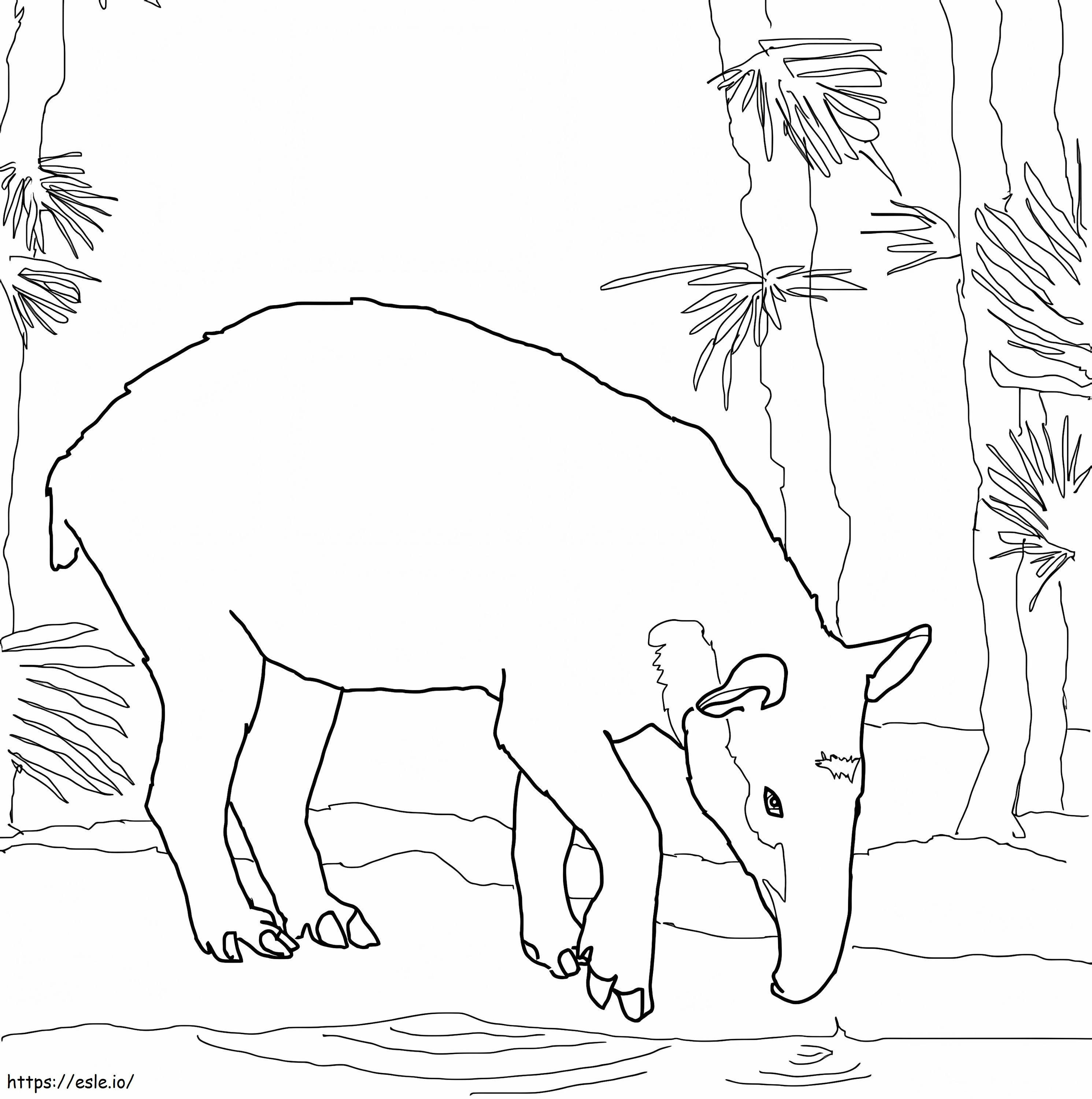 Coloriage Tapir de Baird à imprimer dessin