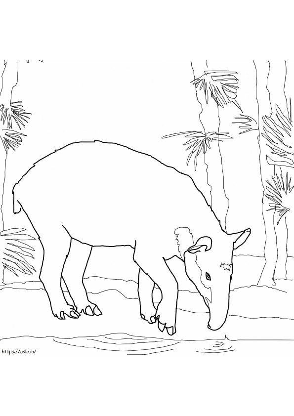 Tapirul lui Baird de colorat