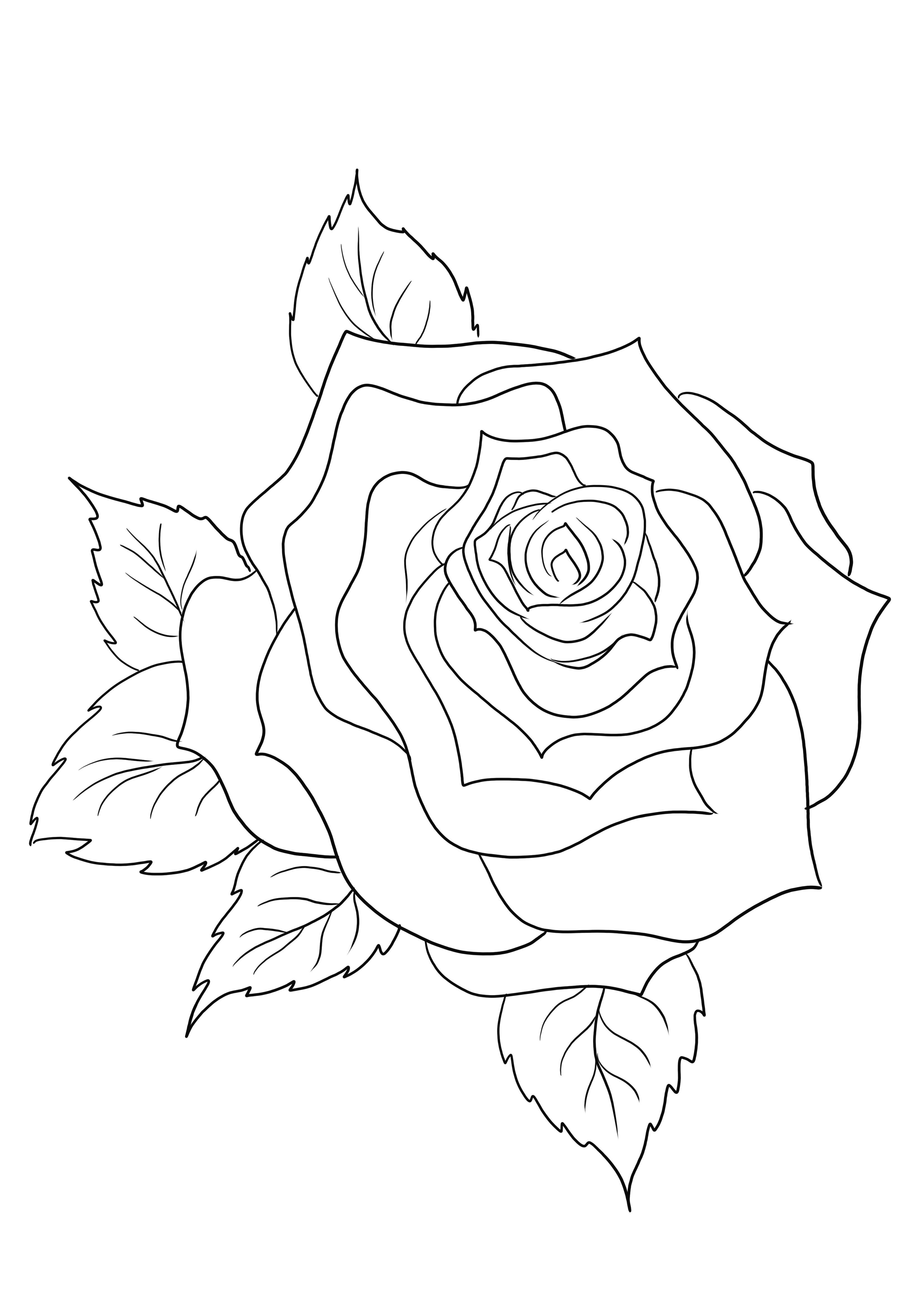 Lindo simplesmente para colorir uma folha de Rosa para imprimir ou baixar