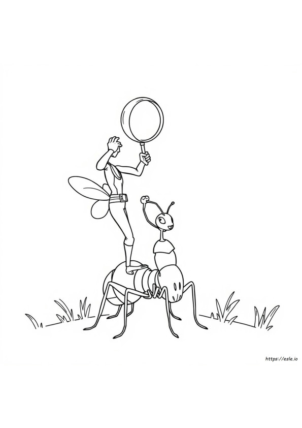 Antman Gambar Mewarnai