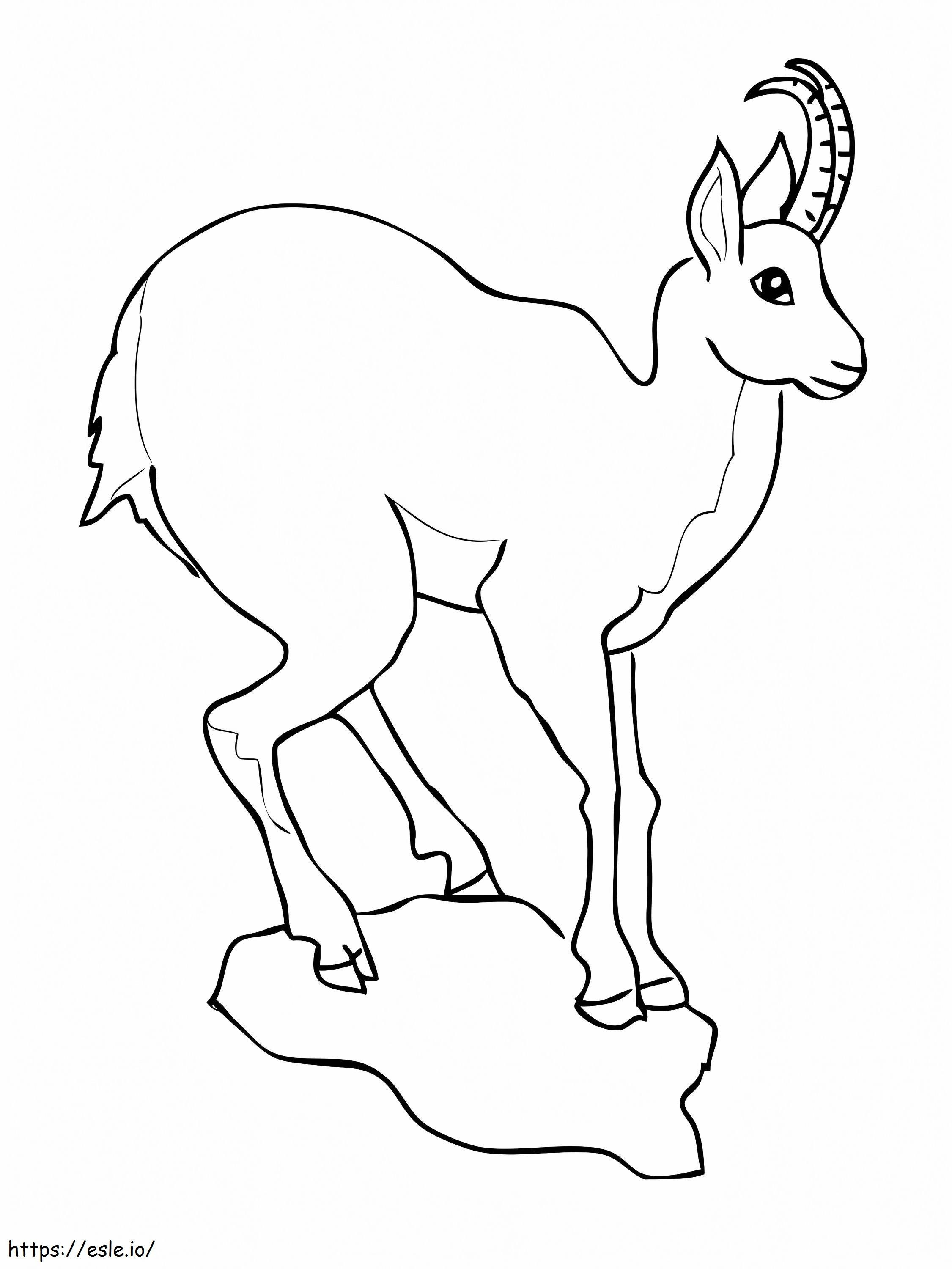 Coloriage Chamois d'antilope de chèvre européenne à imprimer dessin