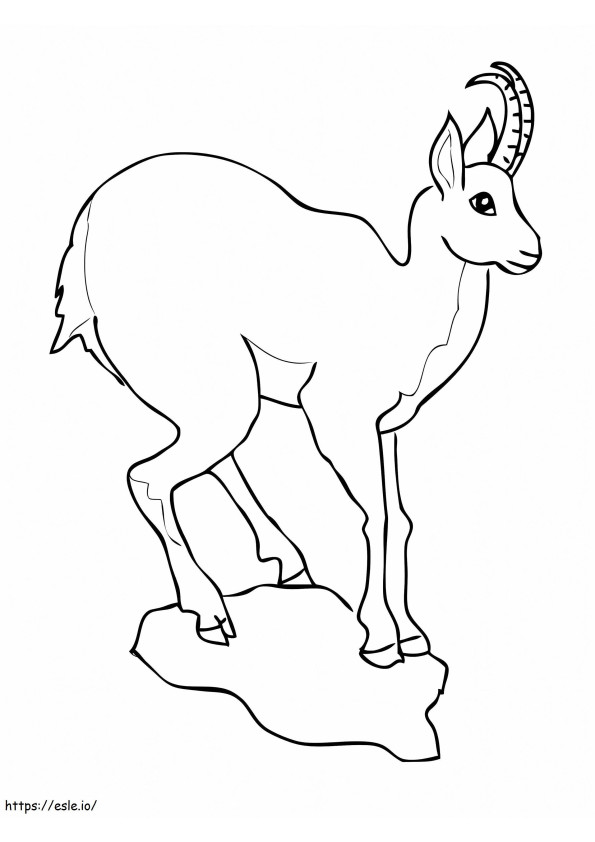 European Goat Antelope Chamois coloring page