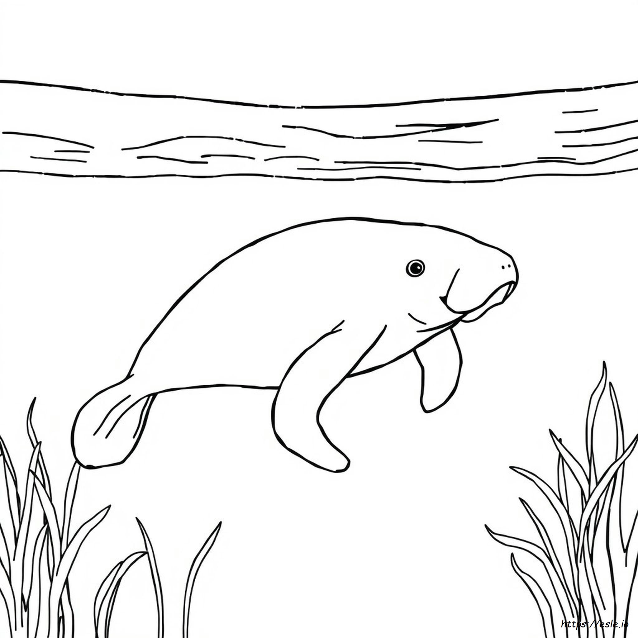 Coloring Pages Of Manatees