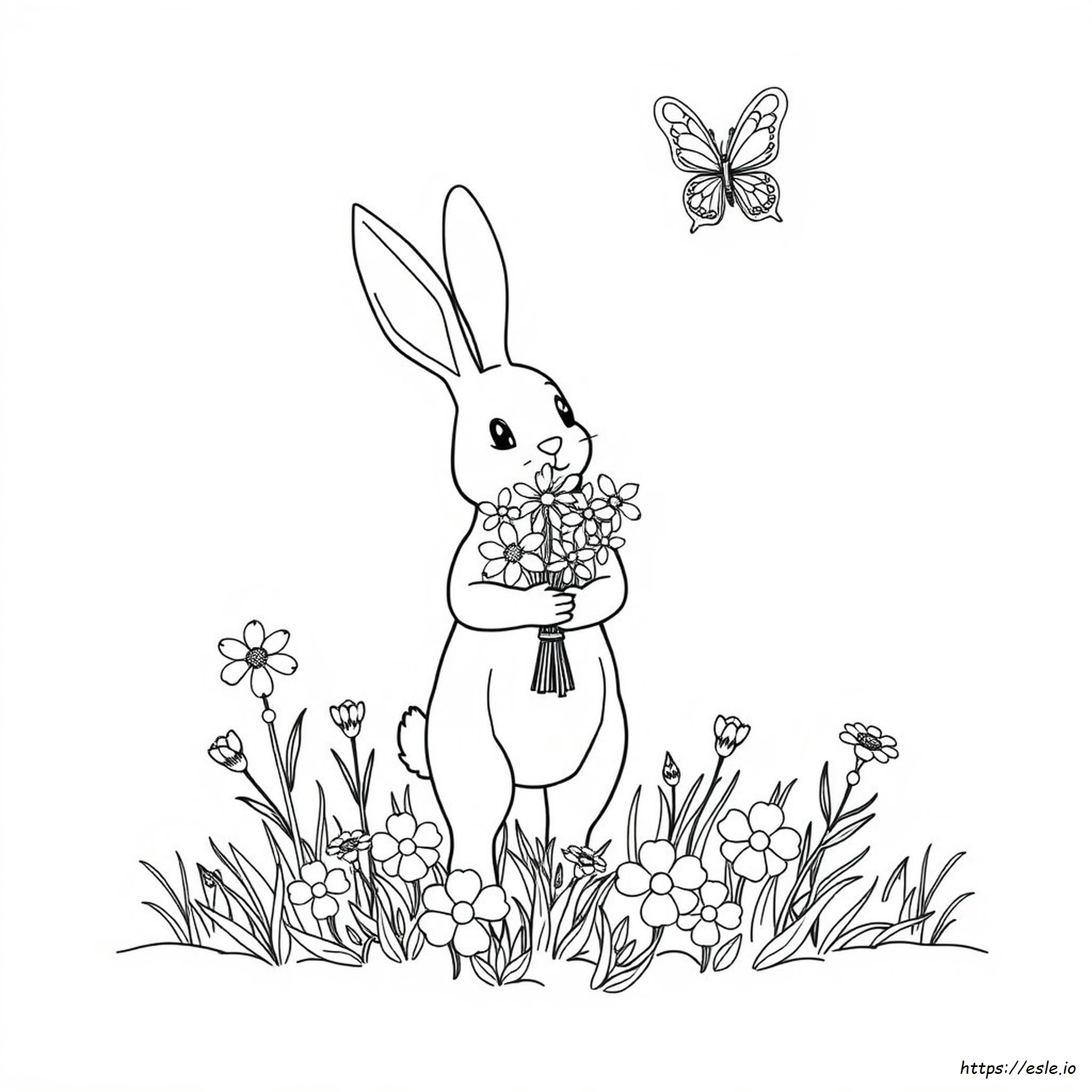 Animal Color Pages For Adults