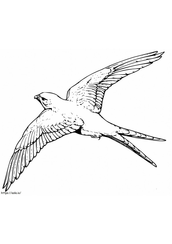 Printable Kite Bird coloring page