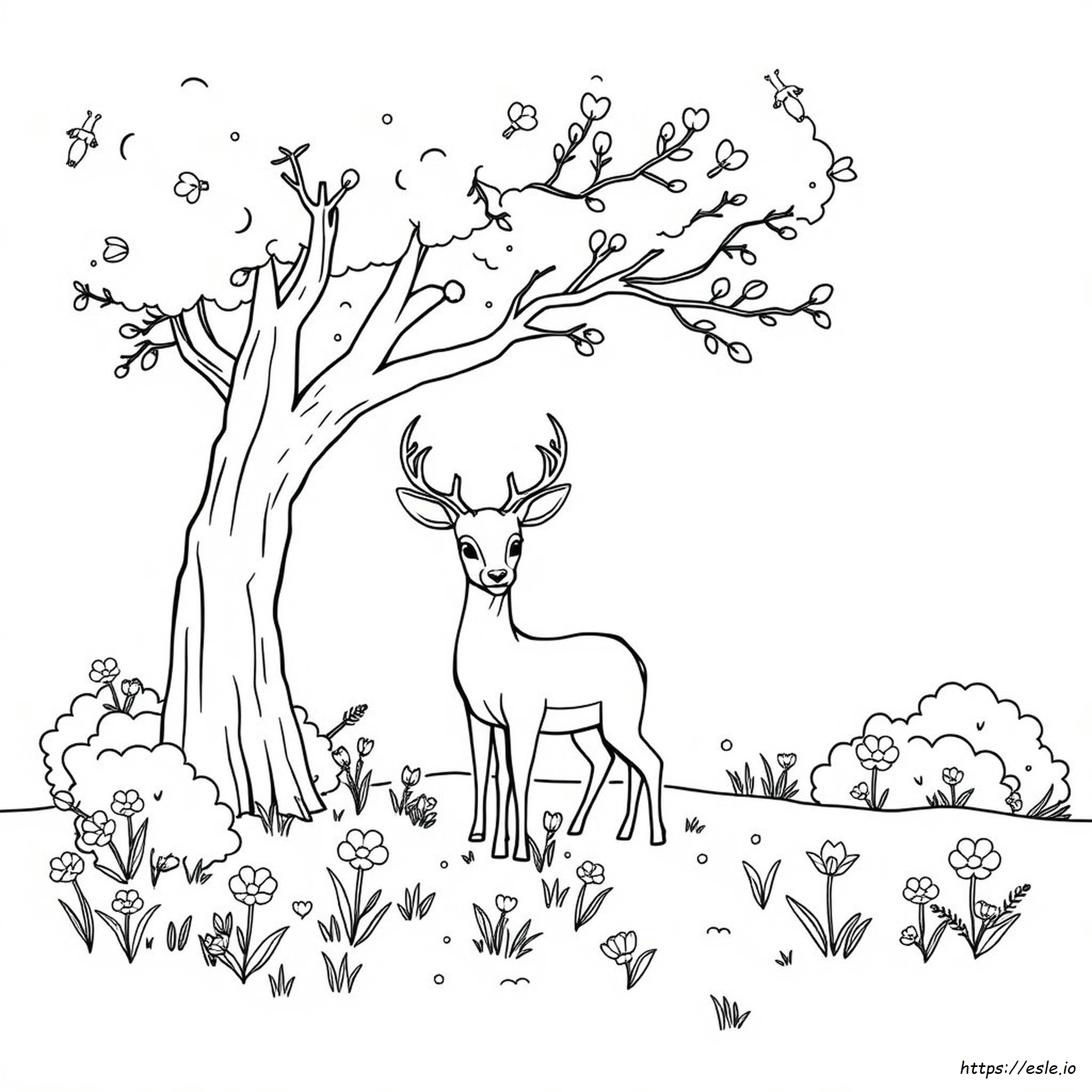 Deer Coloring Pages To Print