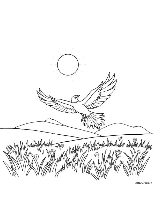 Phoenix Color Meaning