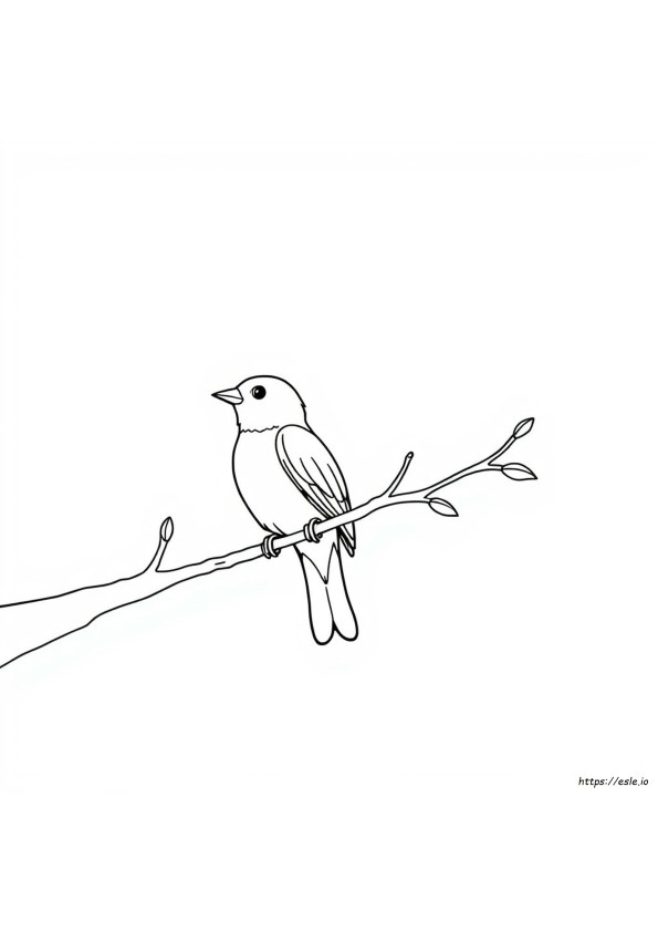 Bird Printable Coloring