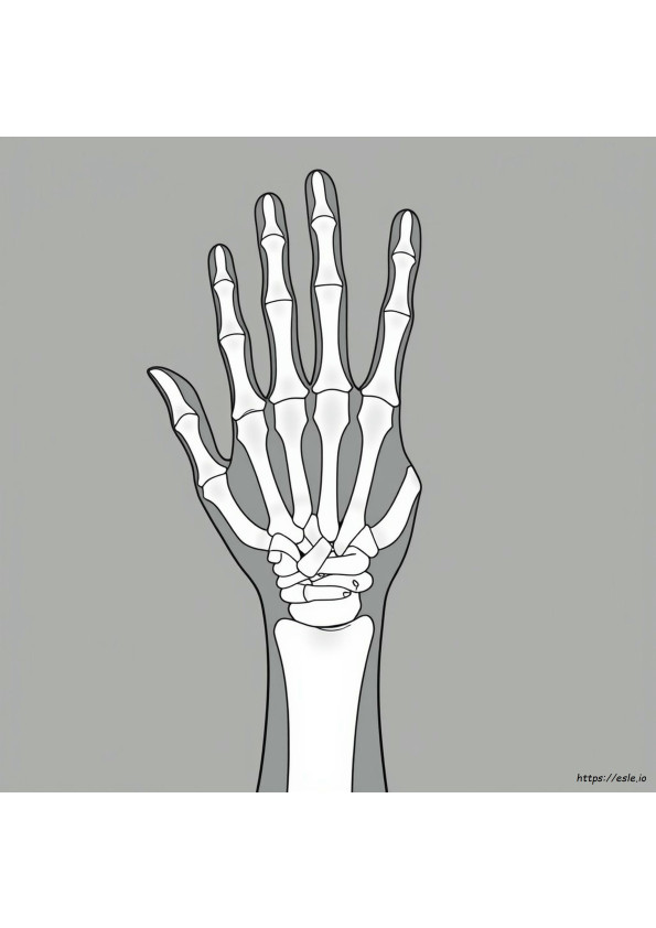 X Ray Printable Coloring Pages