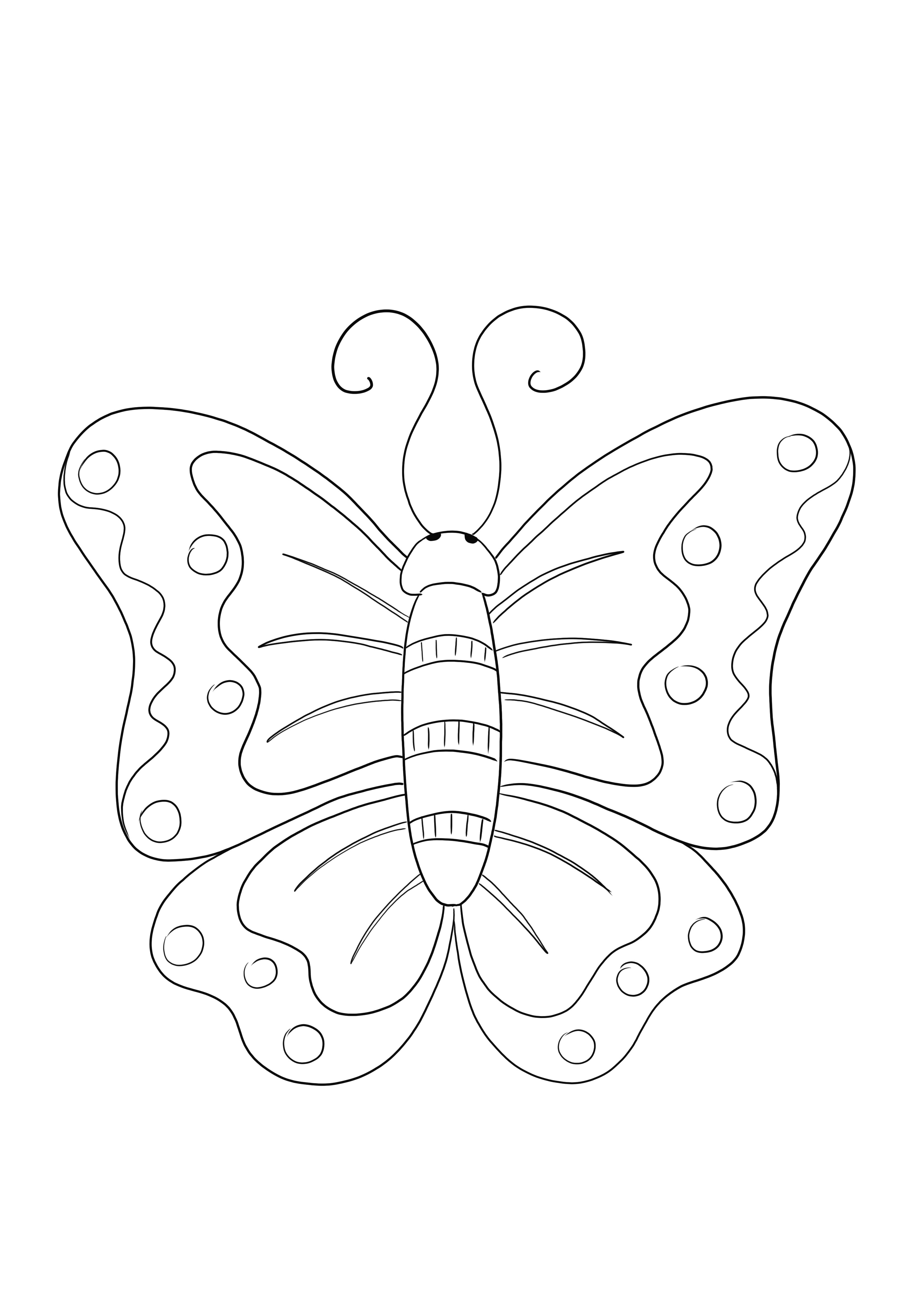 Çocukların böcekler hakkında bilgi edinmesi için ücretsiz Kelebek boyama sayfası - yazdırması yeterlidir