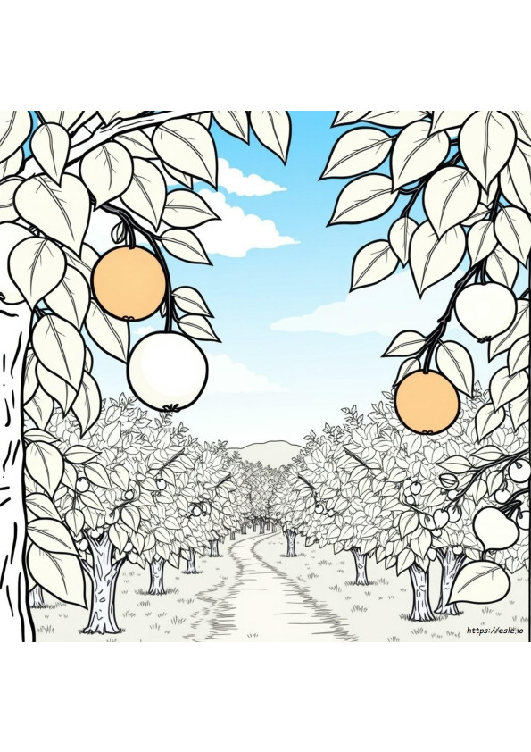 Coloring Book Buah