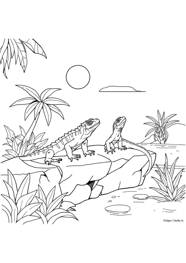 Reptielen Kleurplaten