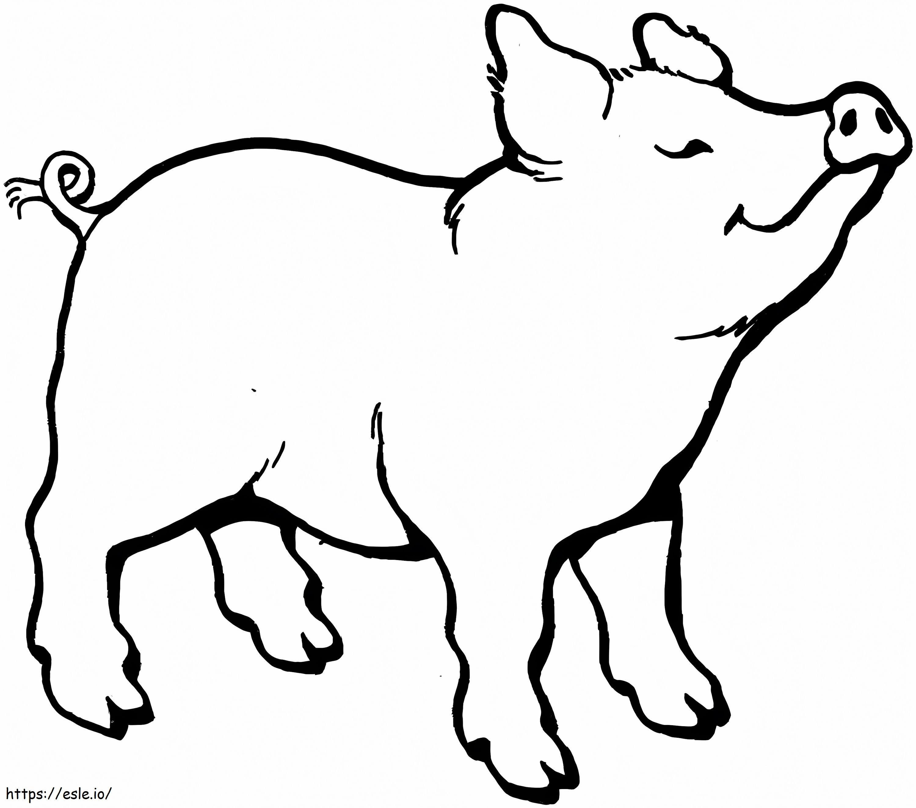 Het varken ruikt iets kleurplaat kleurplaat