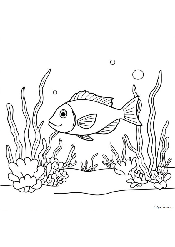 Fish Coloring Pages For Preschool