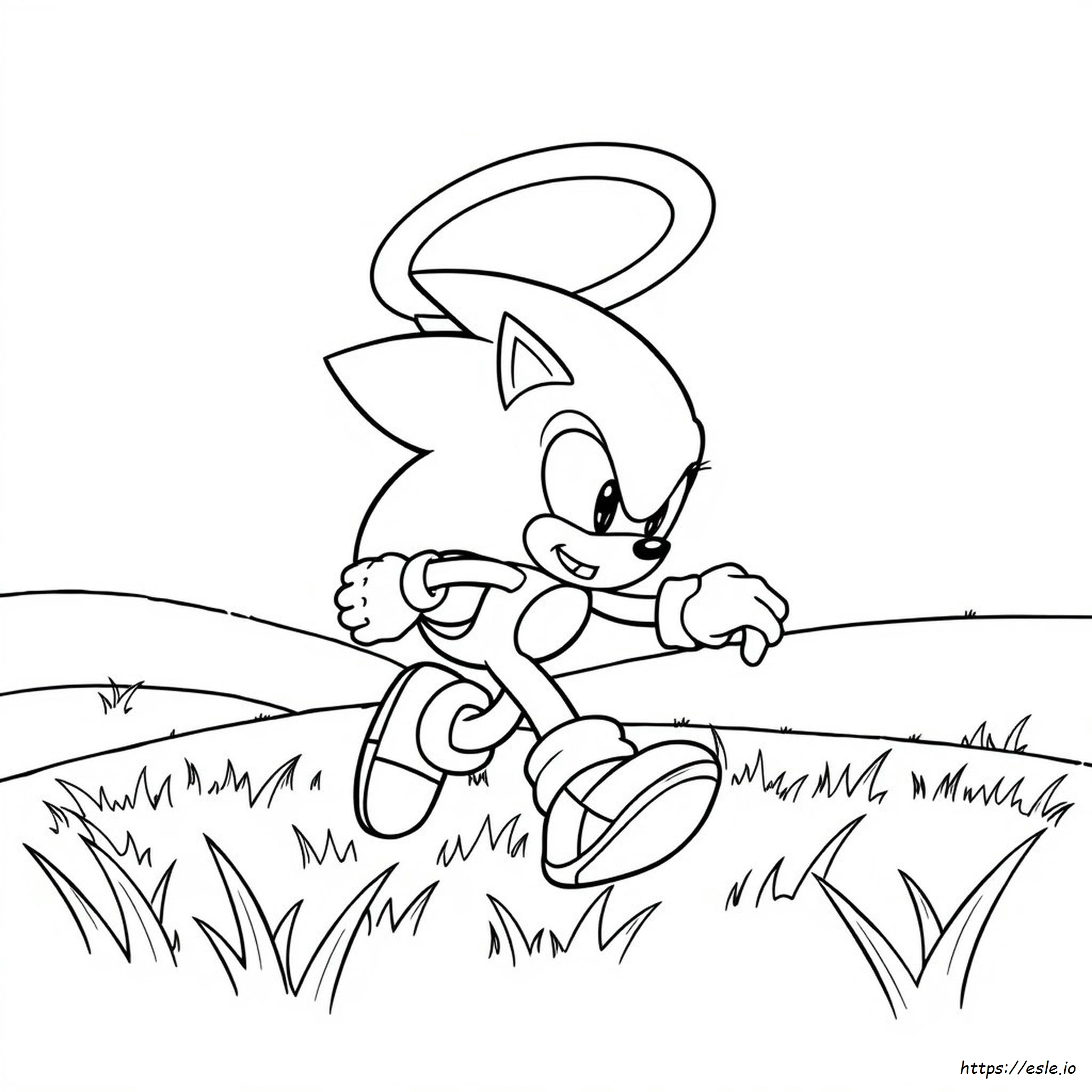 Sonic Boyama Resimleri