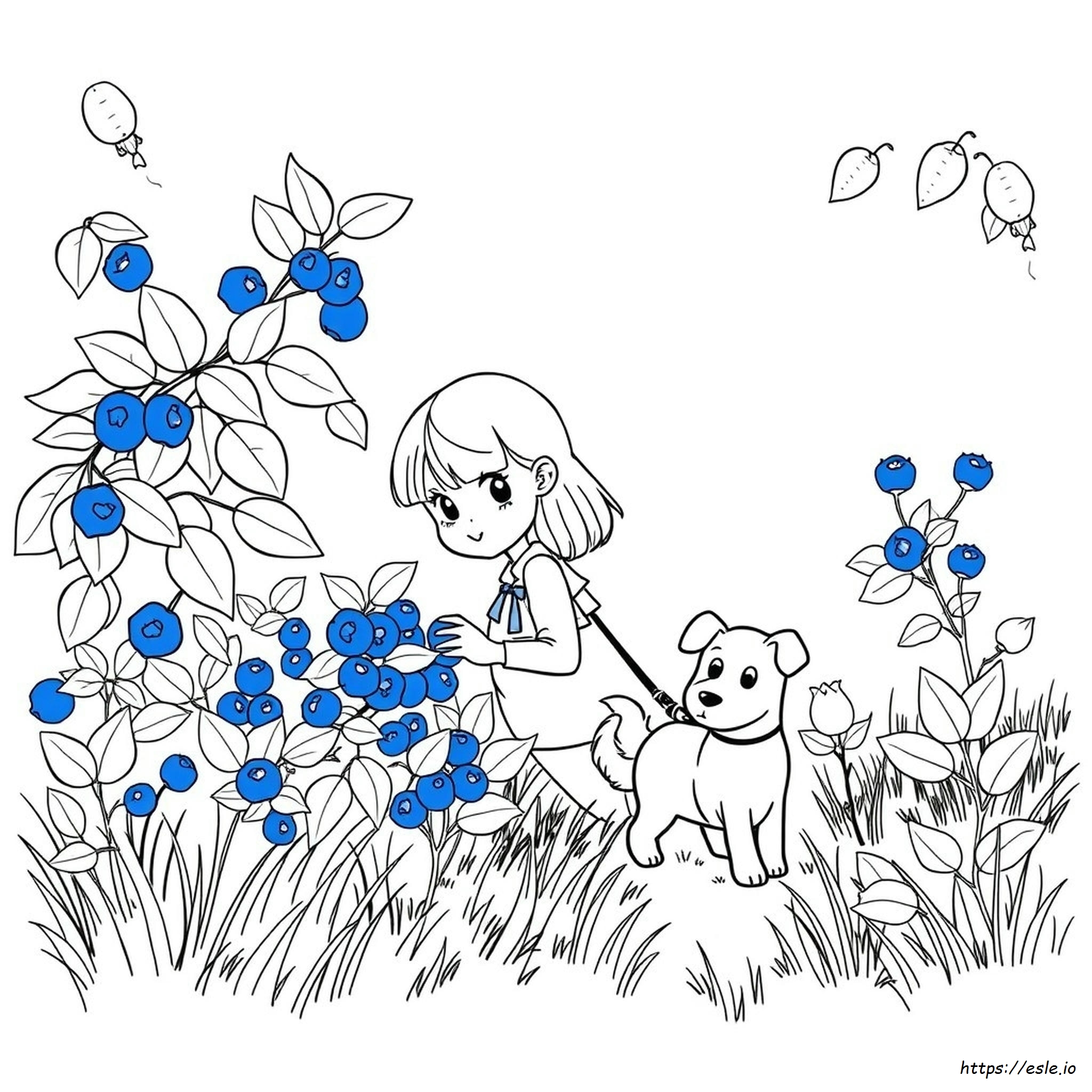 Blueberries For Sal Coloring Page