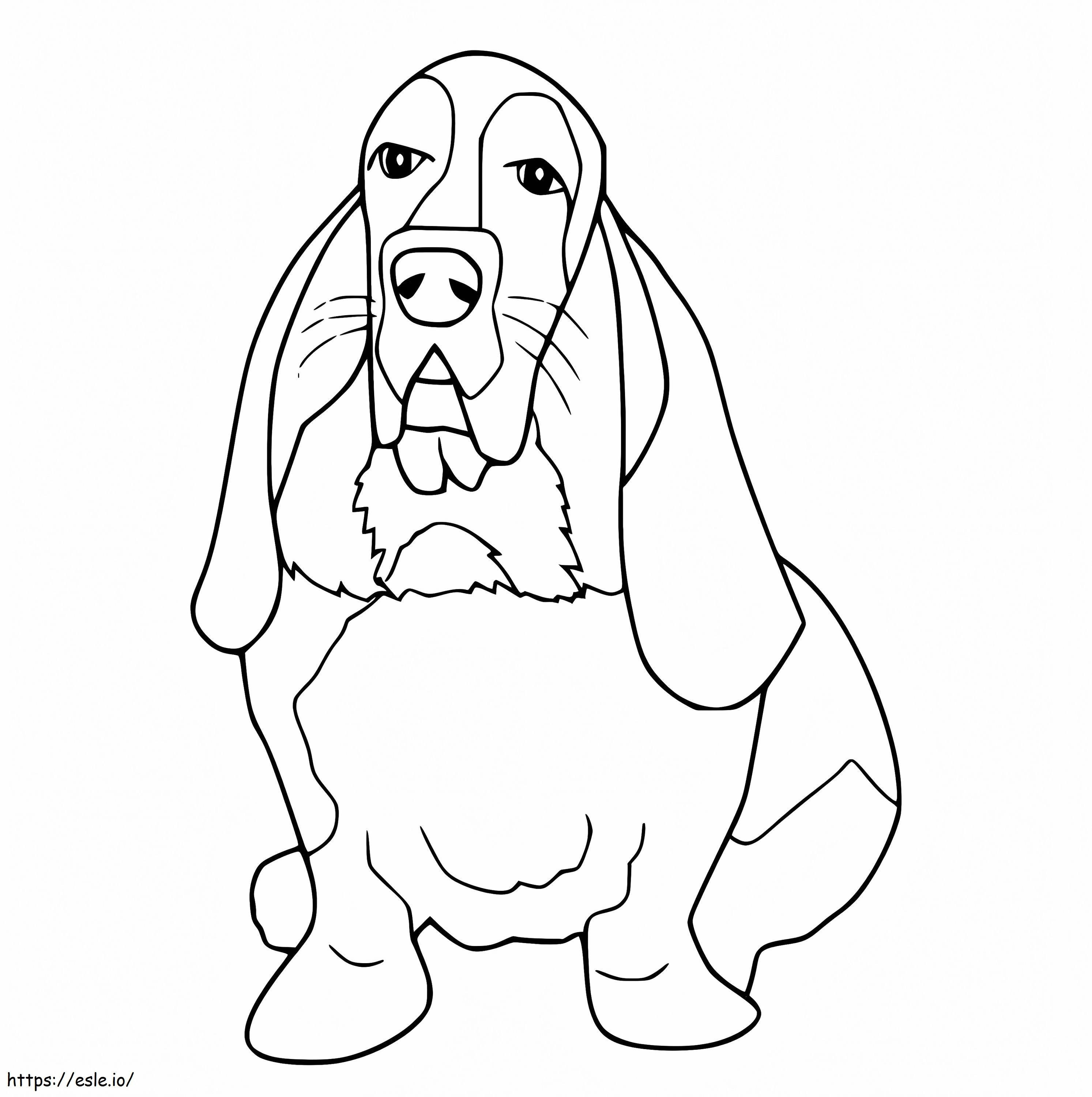 Printable Basset Hound coloring page