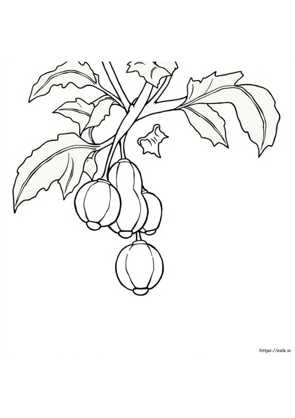 パパイヤの塗り絵