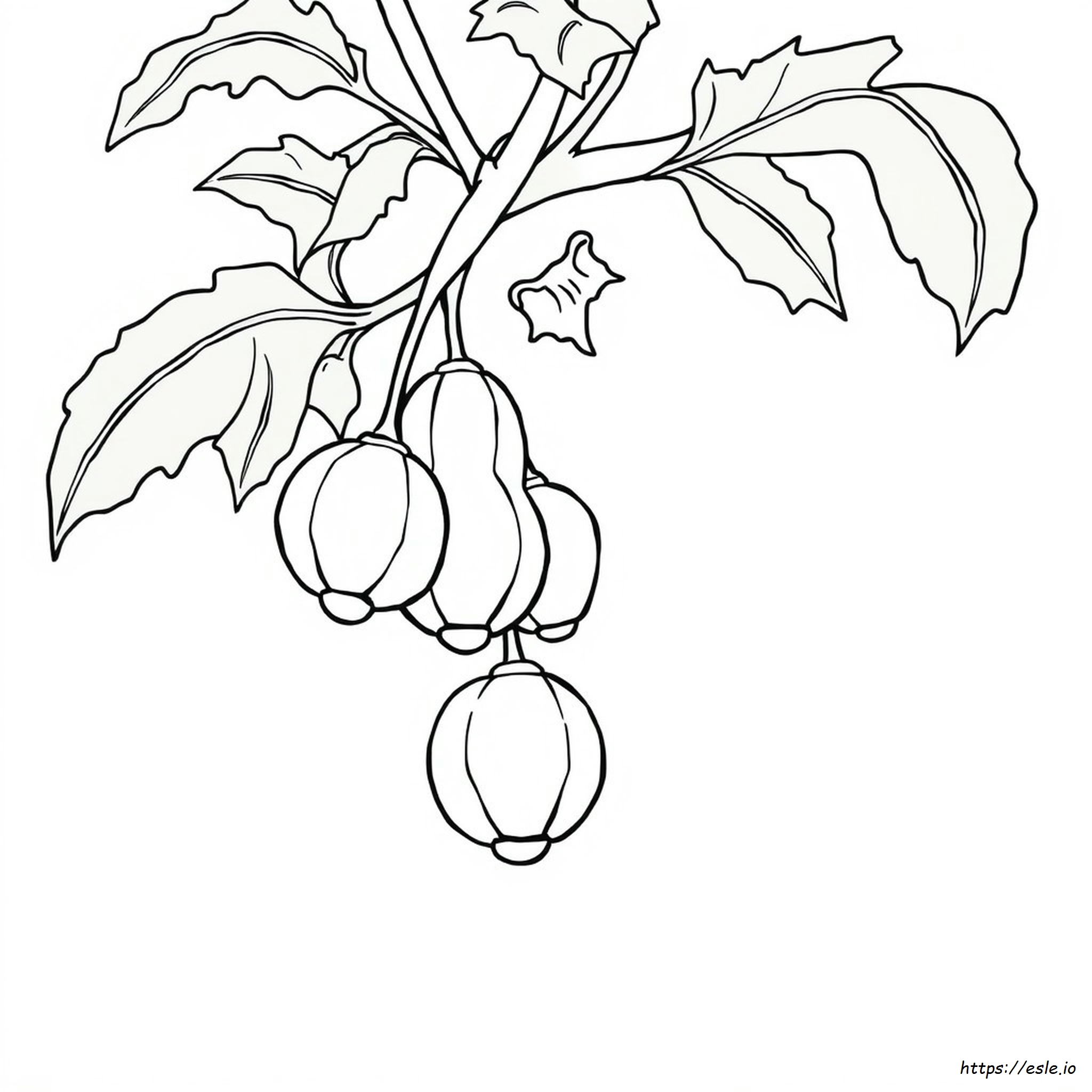 Papaya Colouring Pages