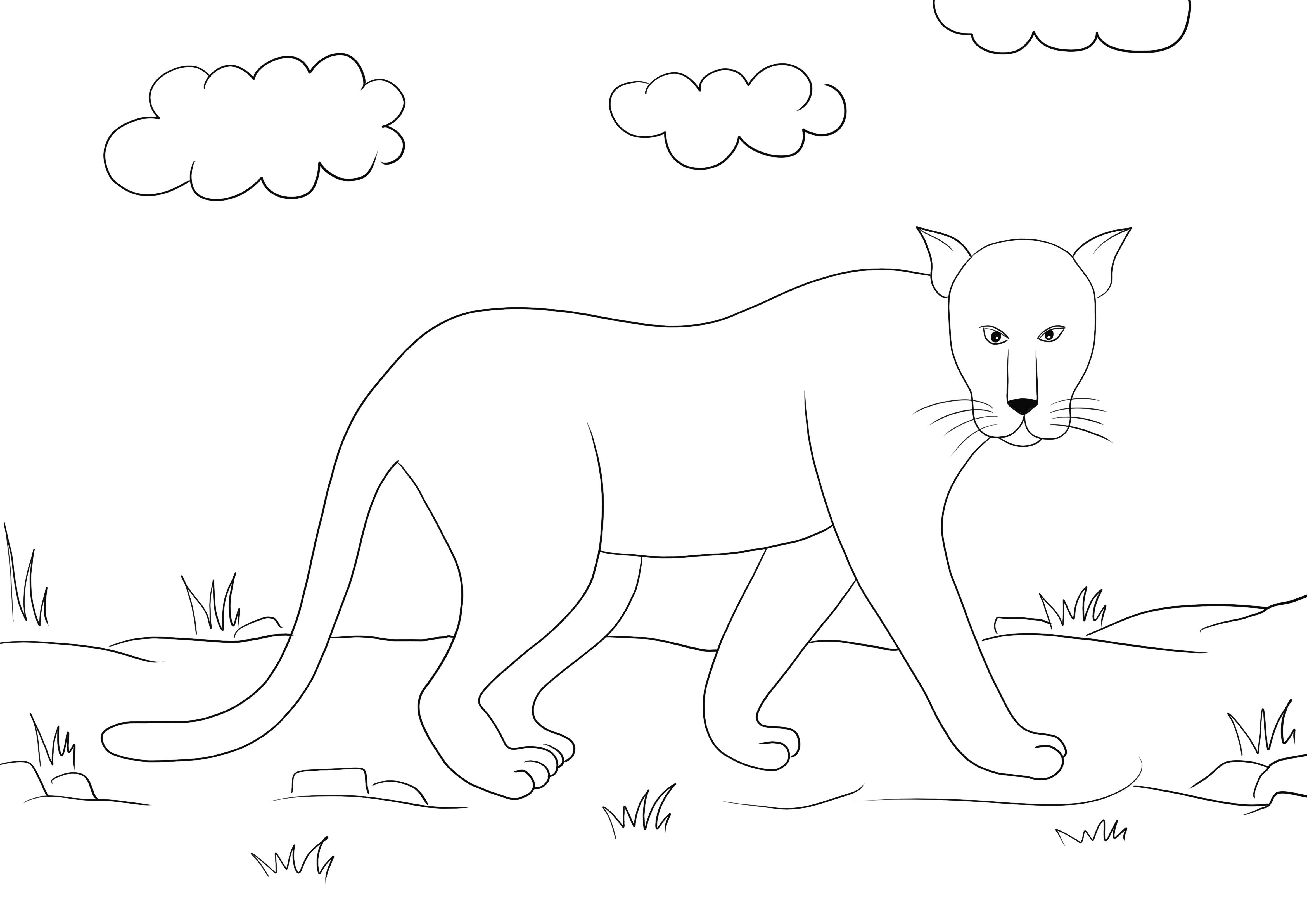 Free black and white Panther coloring image to download or print