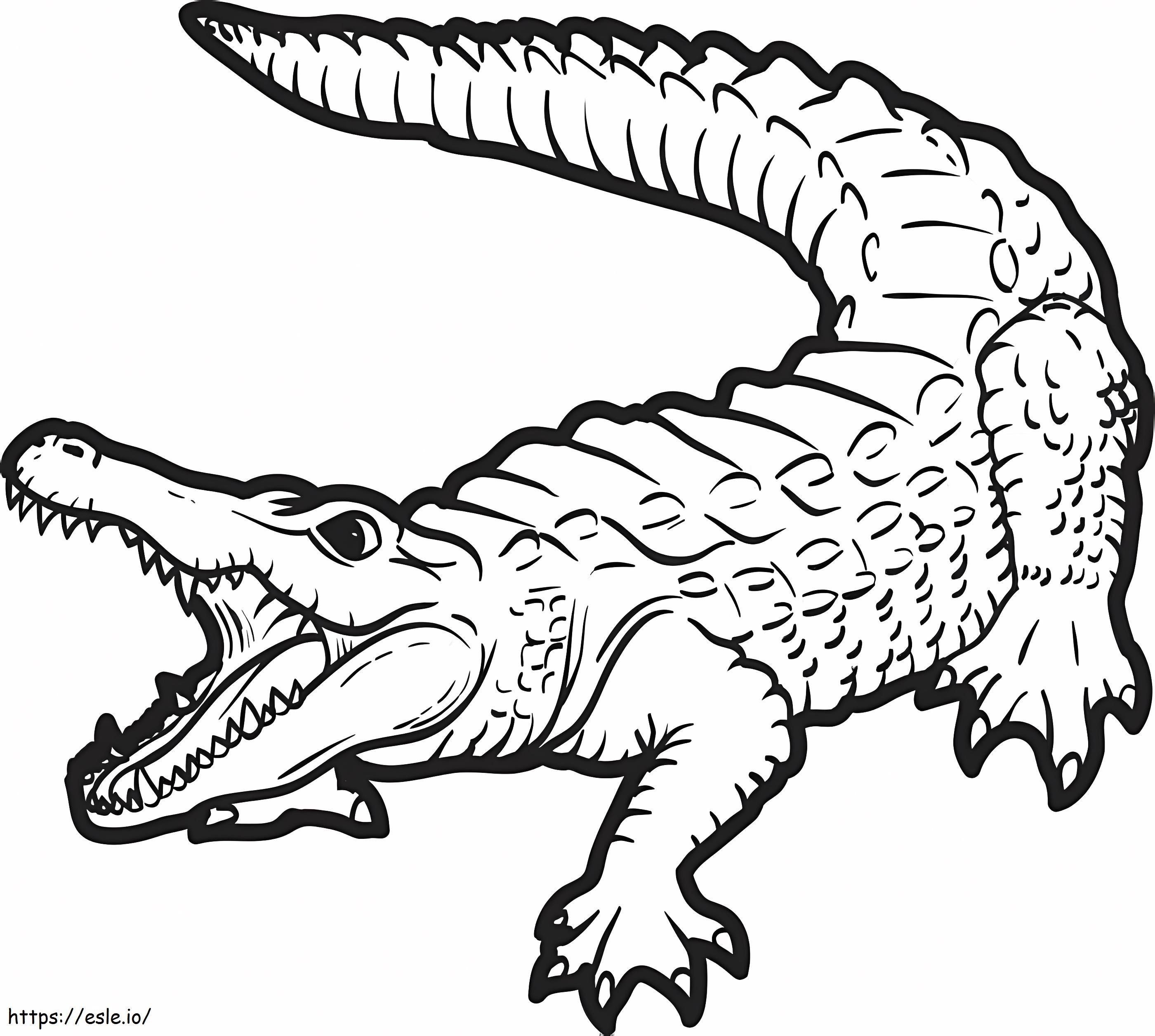 Coloriage Crocodile 1 à imprimer dessin