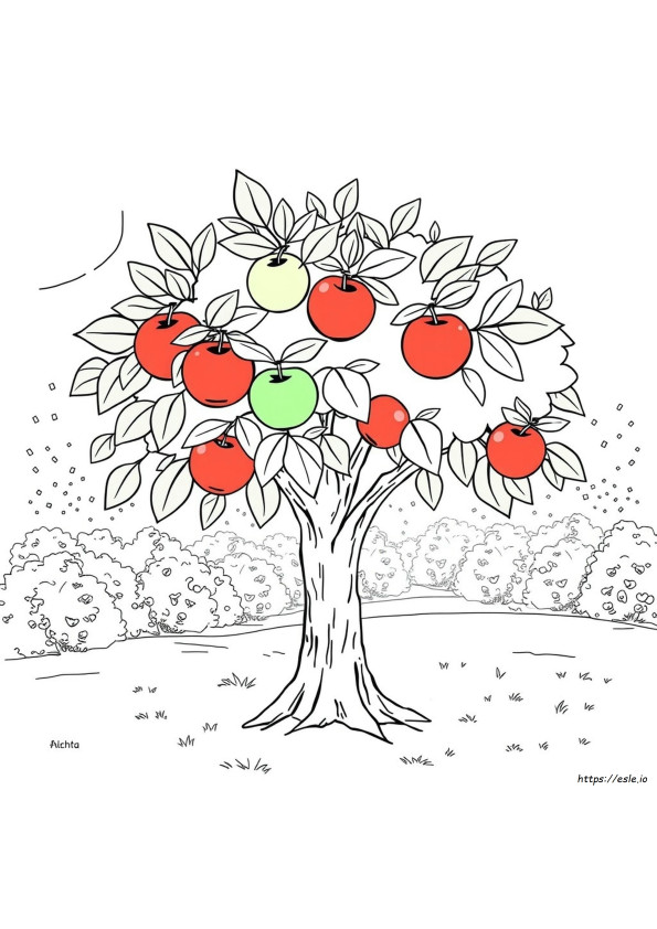 Árbol De Manzanas Para Colorear