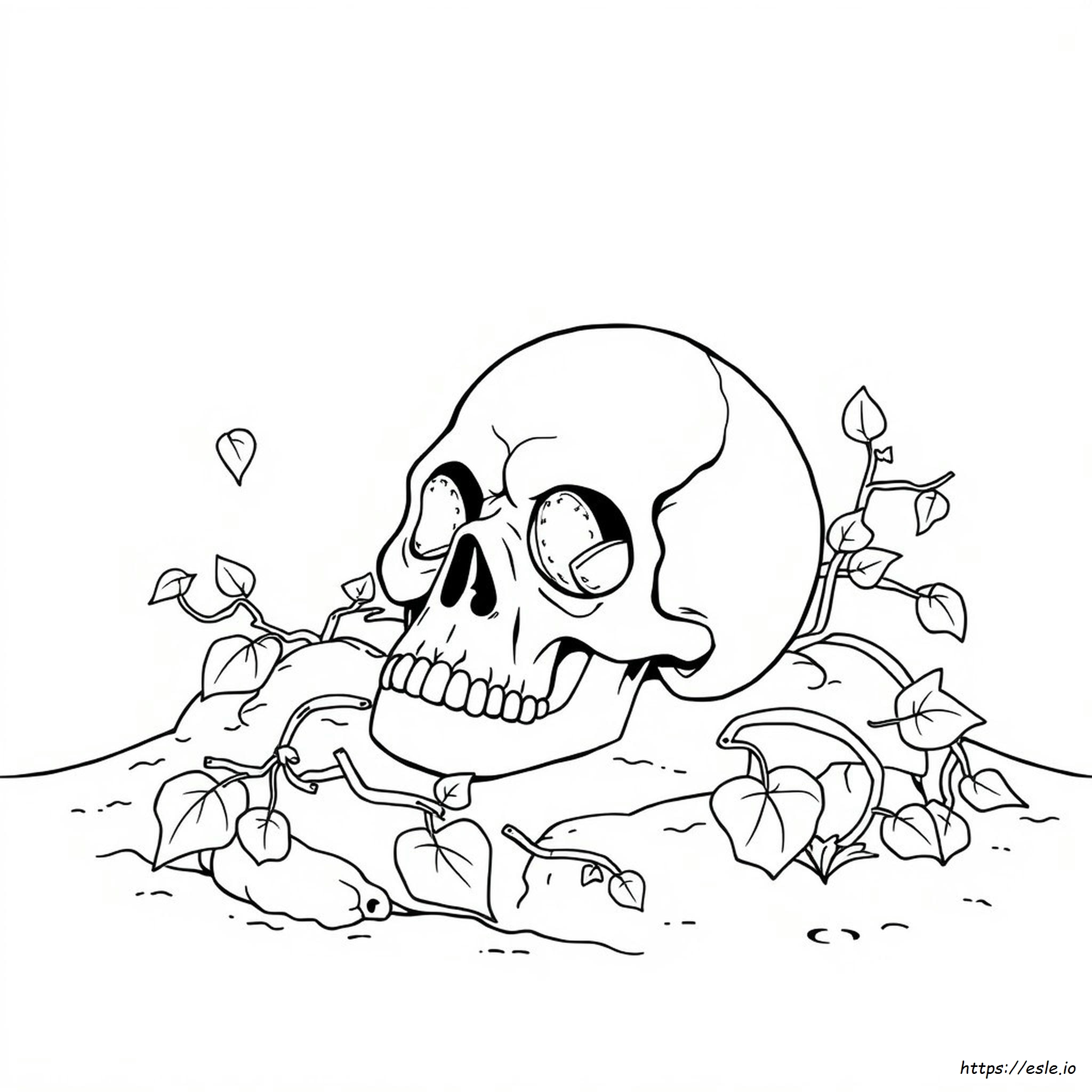 Adult Coloring Page Skull