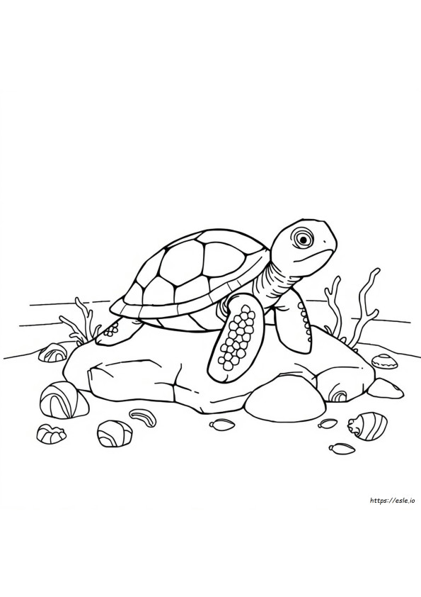 Warturtle Coloring Page