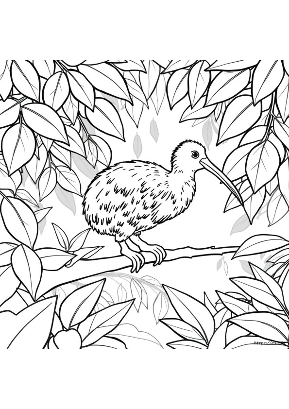 Coloriage Oiseau Kiwi