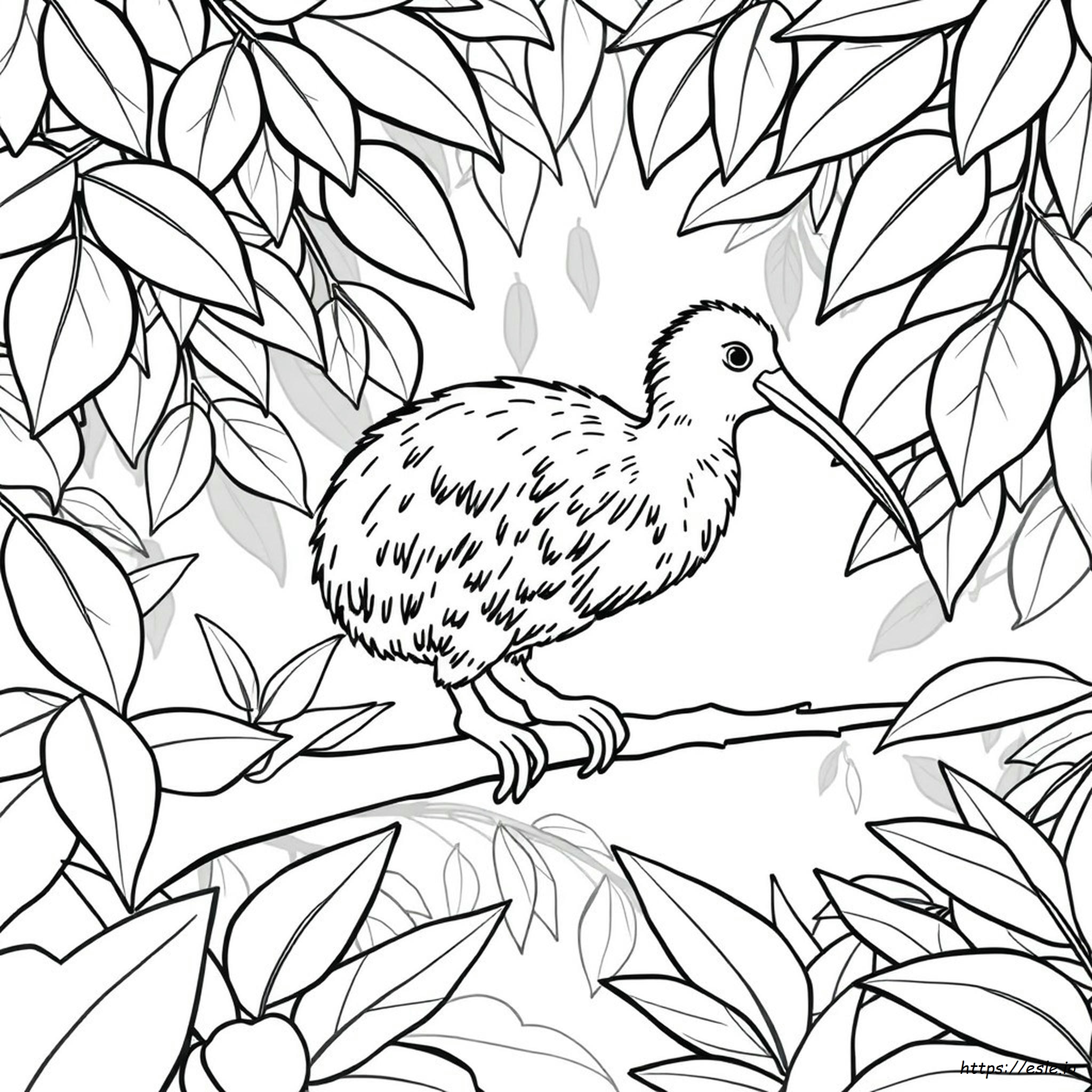 Kiwi Bird Colouring In