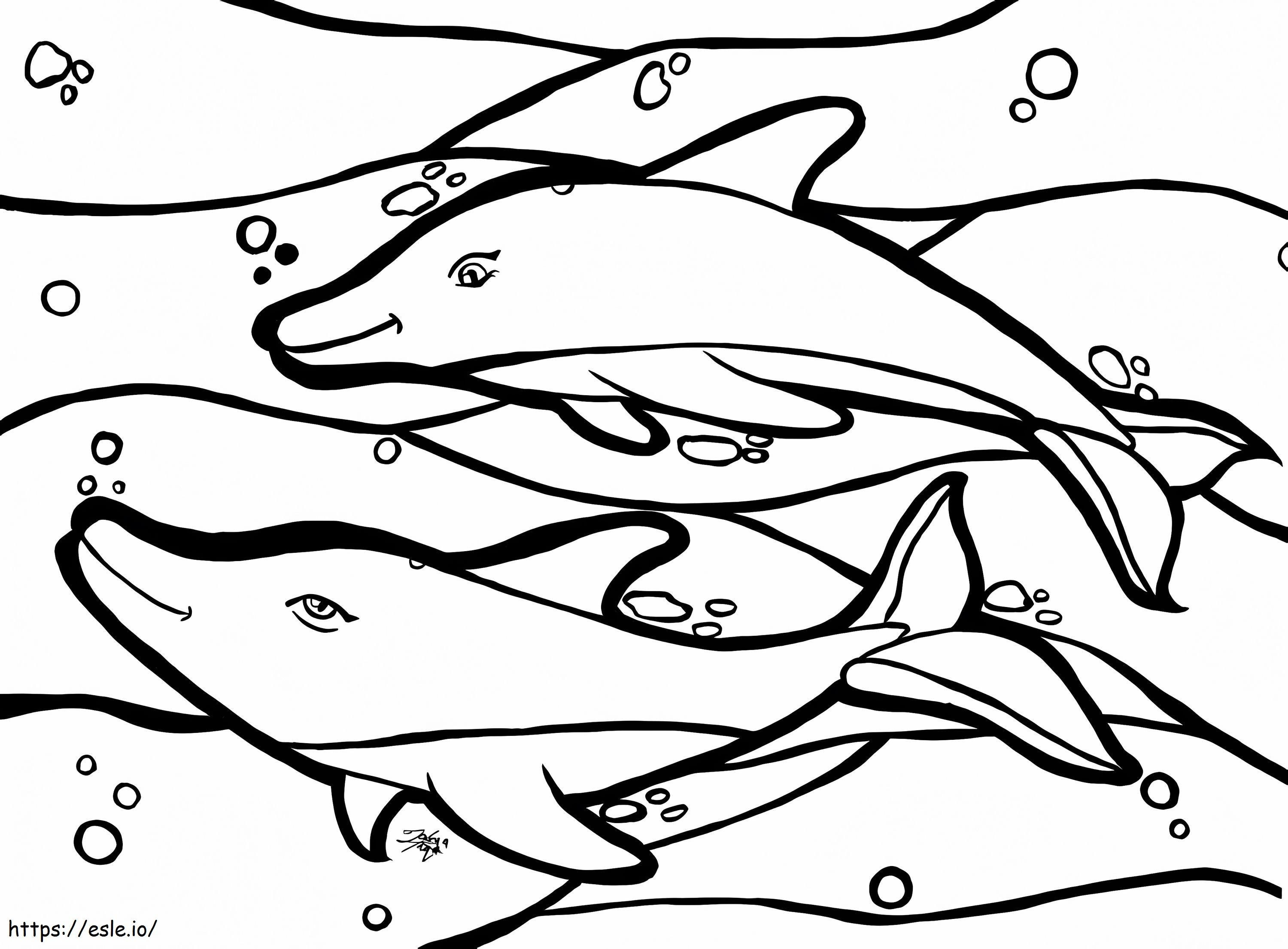 Two Dolphins coloring page