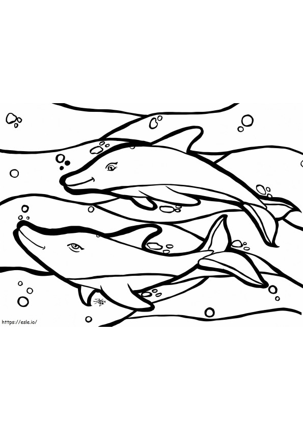 Coloriage Deux dauphins à imprimer dessin