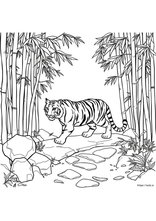 Tigre In Bianco E Nero Da Colorare