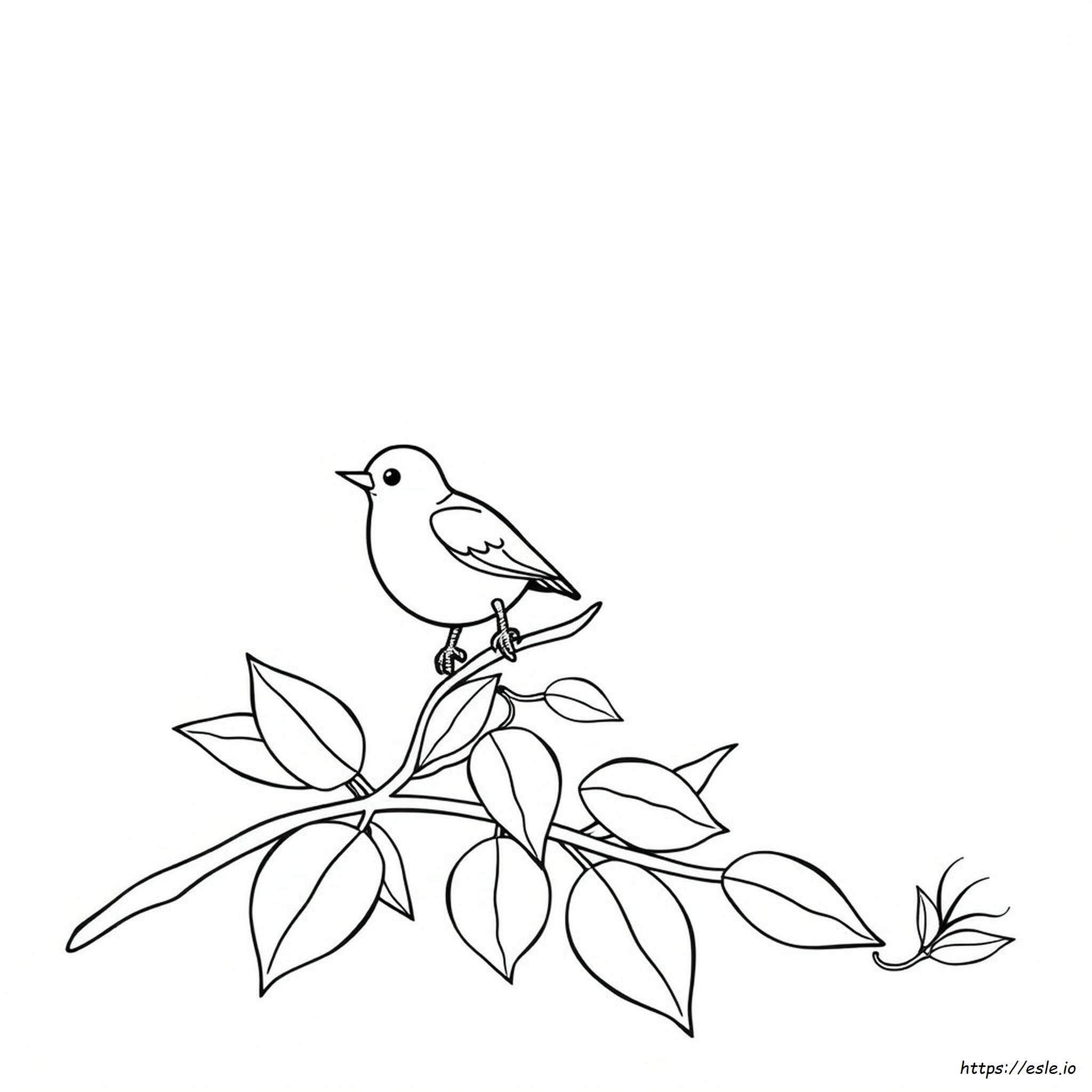 Simple Bird Coloring Pages Pdf