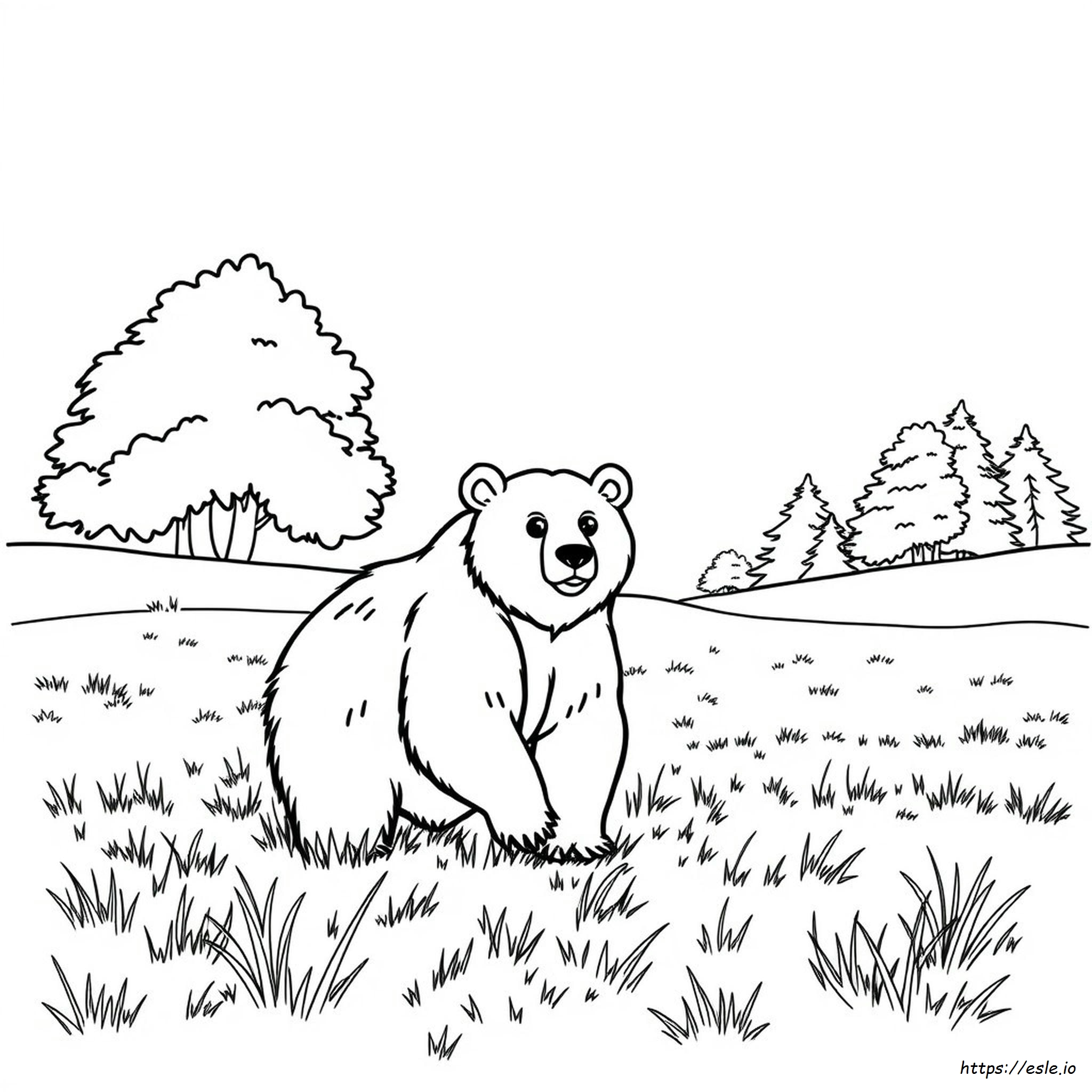 Real Bear Coloring Page