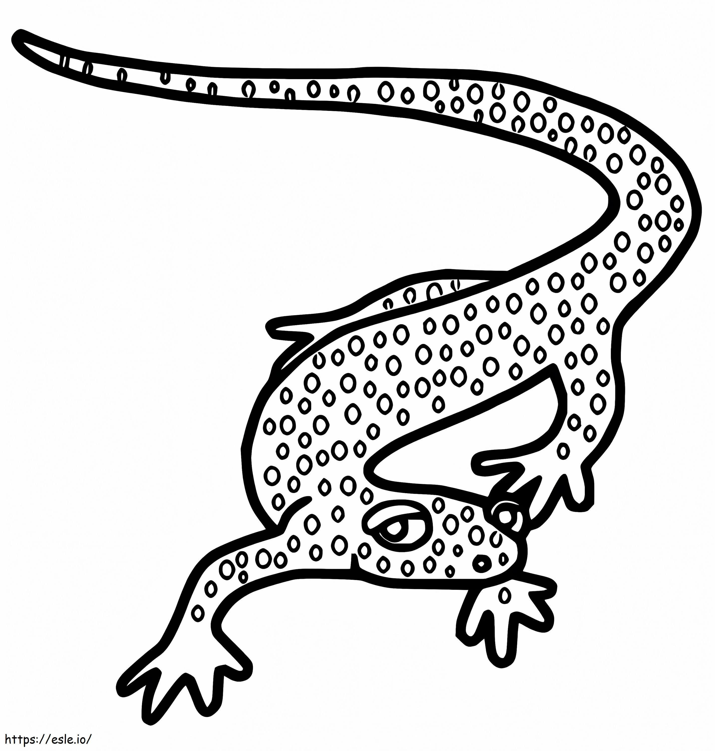 Coloriage Salamandre des Appalaches à imprimer dessin