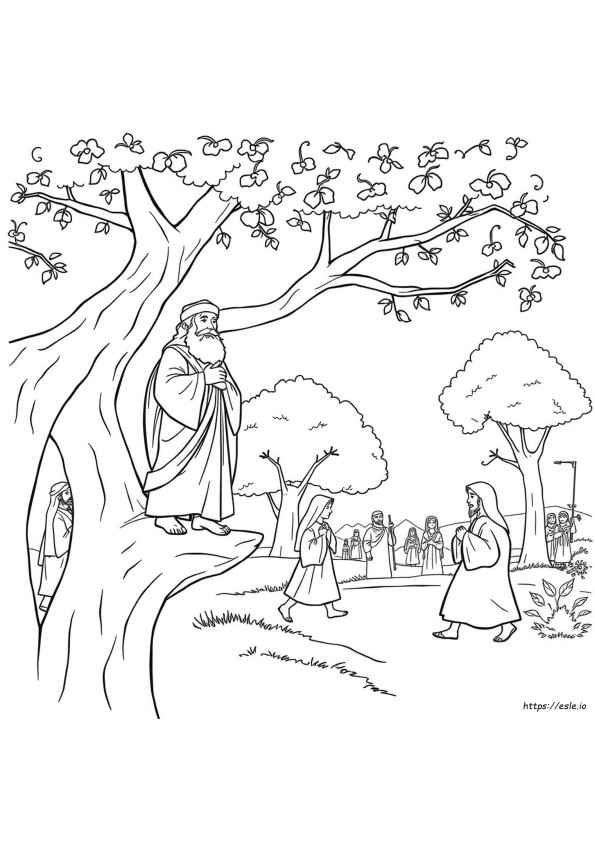 Coloring Pages Of Zacchaeus The Tax Collector