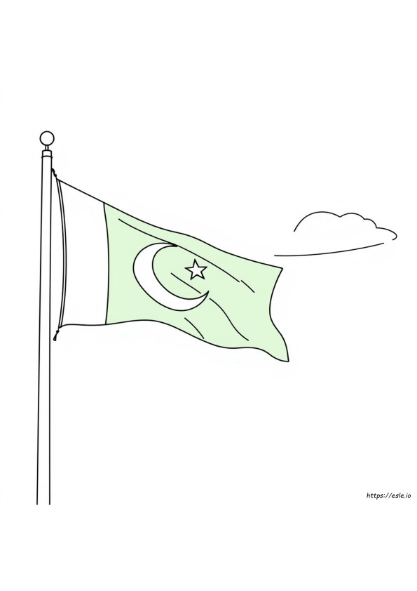 Pakistan Flag Colouring