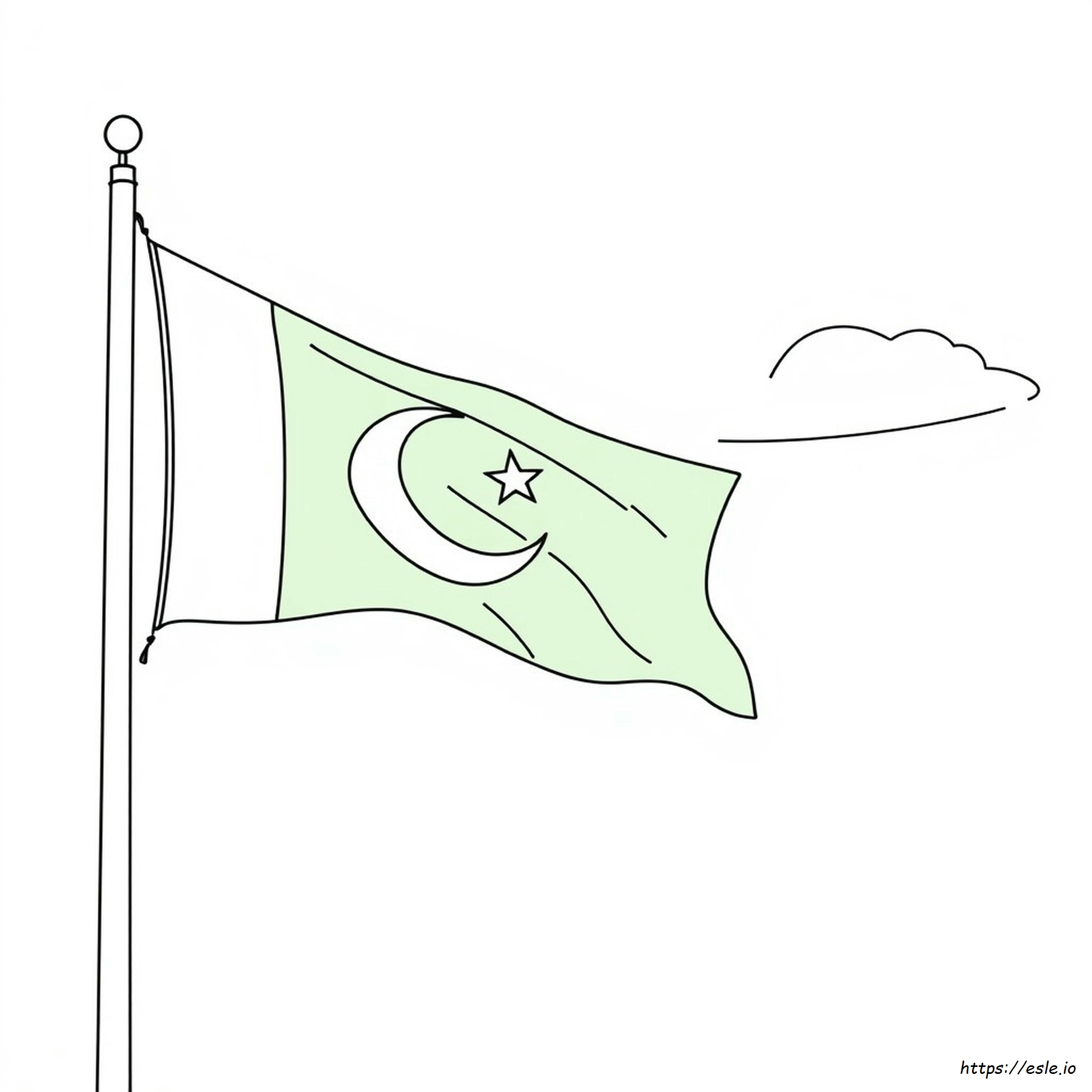 Drapelul Pakistanului De Colorat