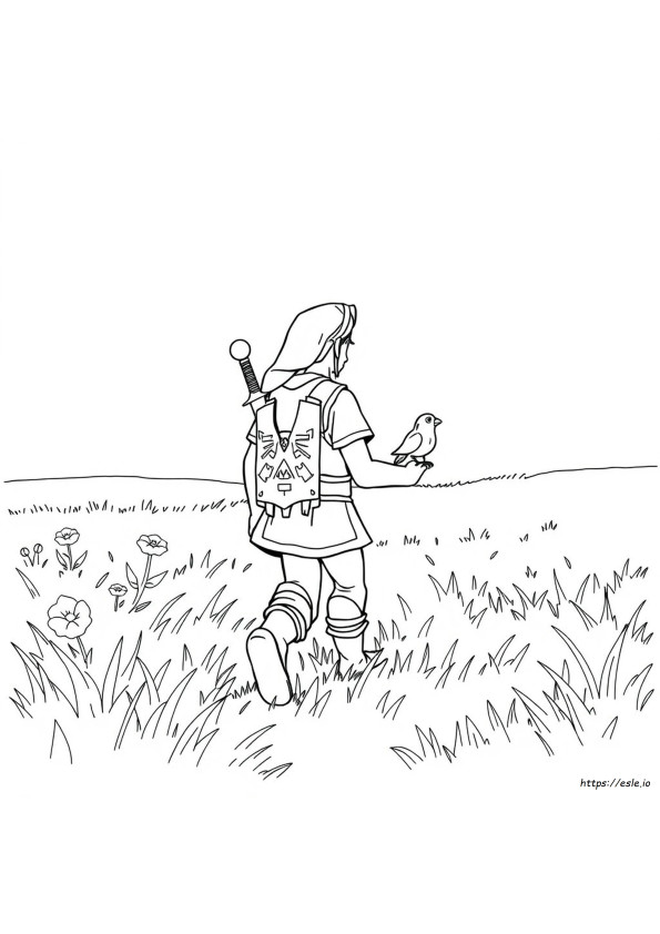 Link Colouring