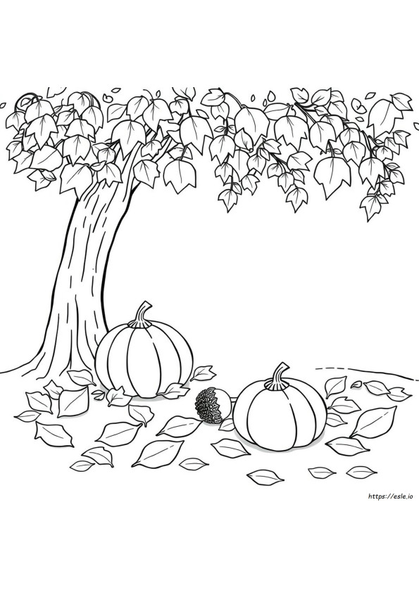 Soft Autumn Coloring