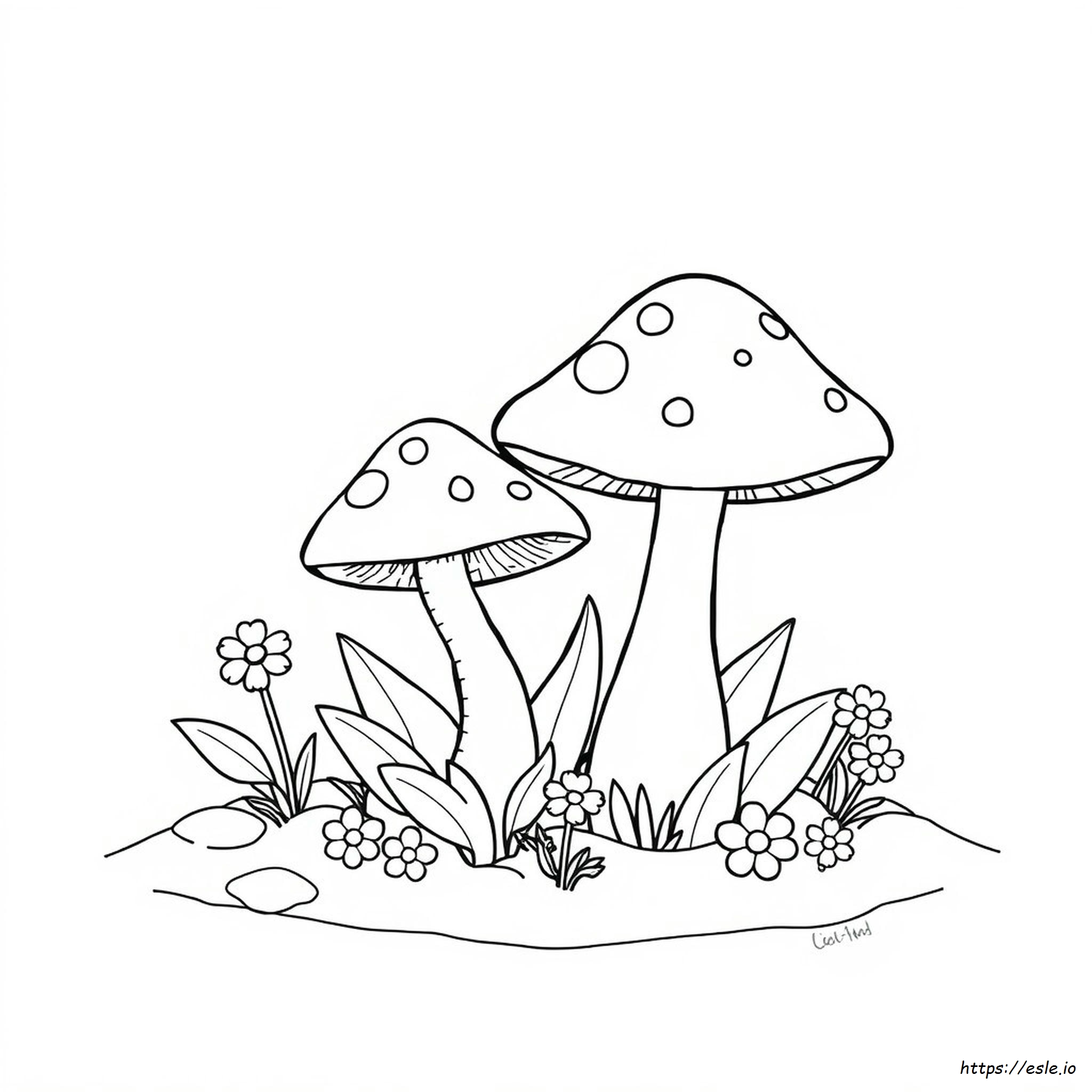 Kostenlose Pilz Ausmalbilder Zum Ausdrucken